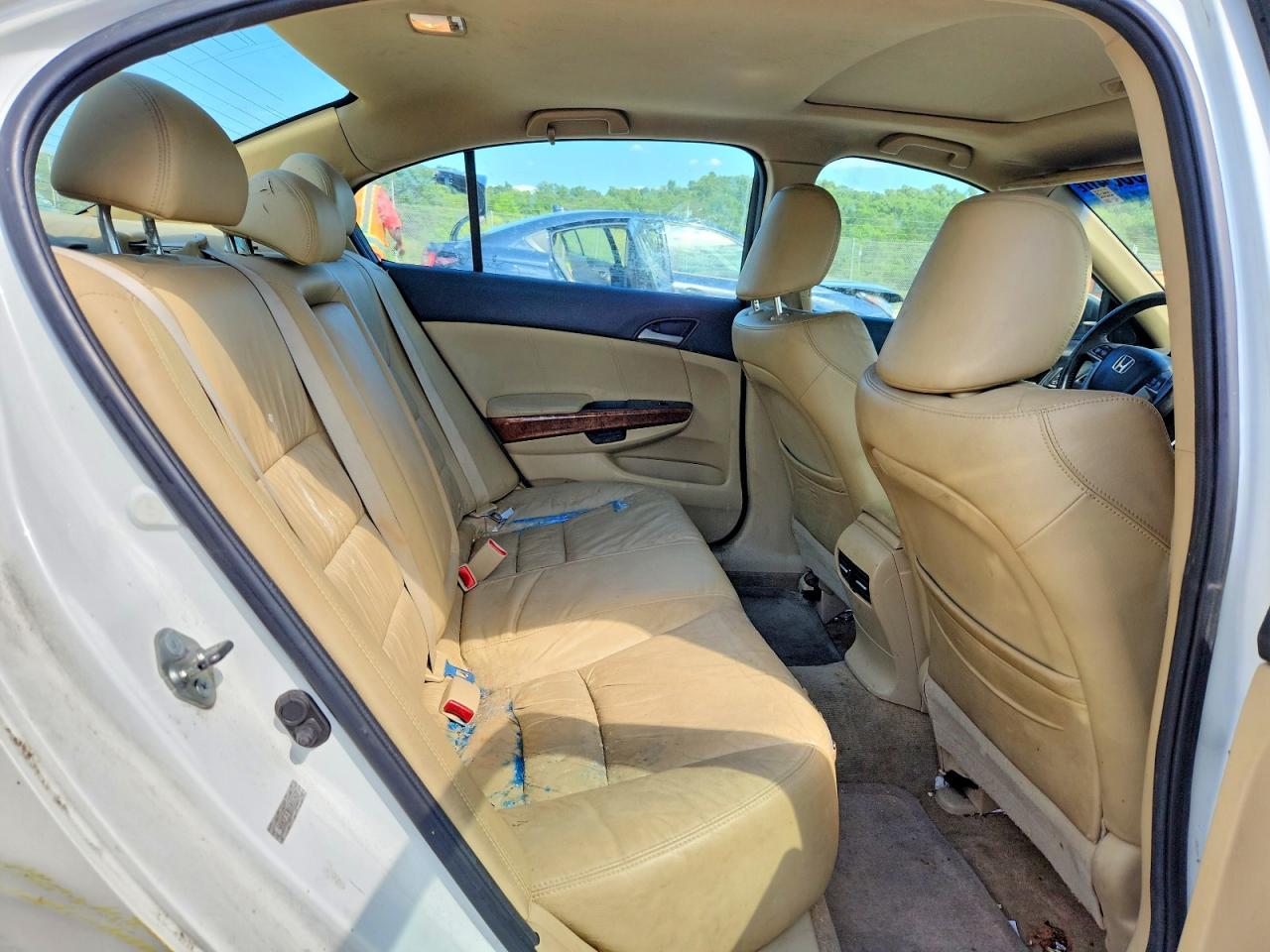 2011 Honda Accord Exl White vin: 5KBCP3F81BB003437