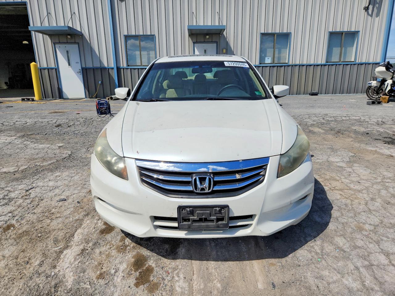 2011 Honda Accord Exl White vin: 5KBCP3F81BB003437