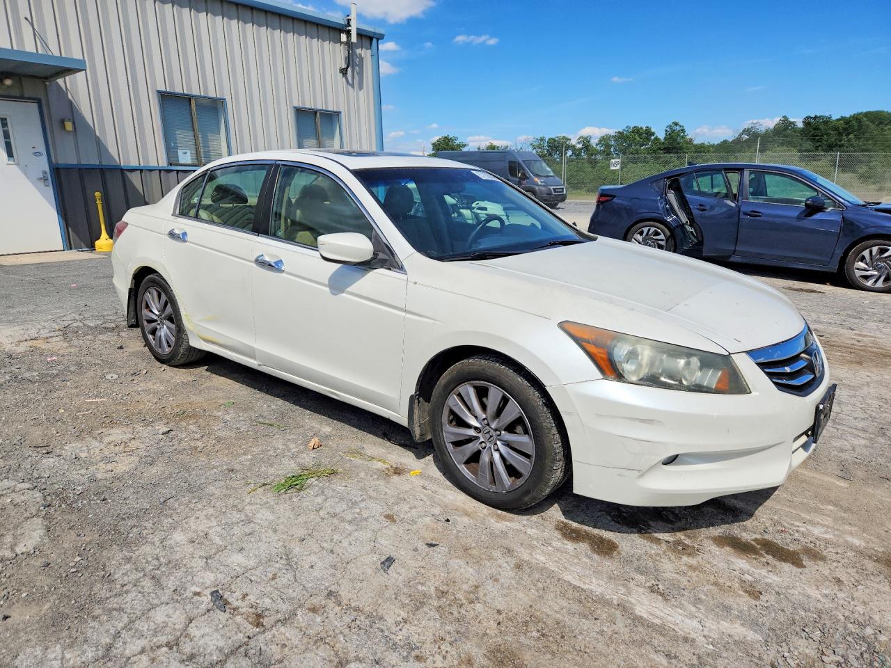 2011 Honda Accord Exl White vin: 5KBCP3F81BB003437