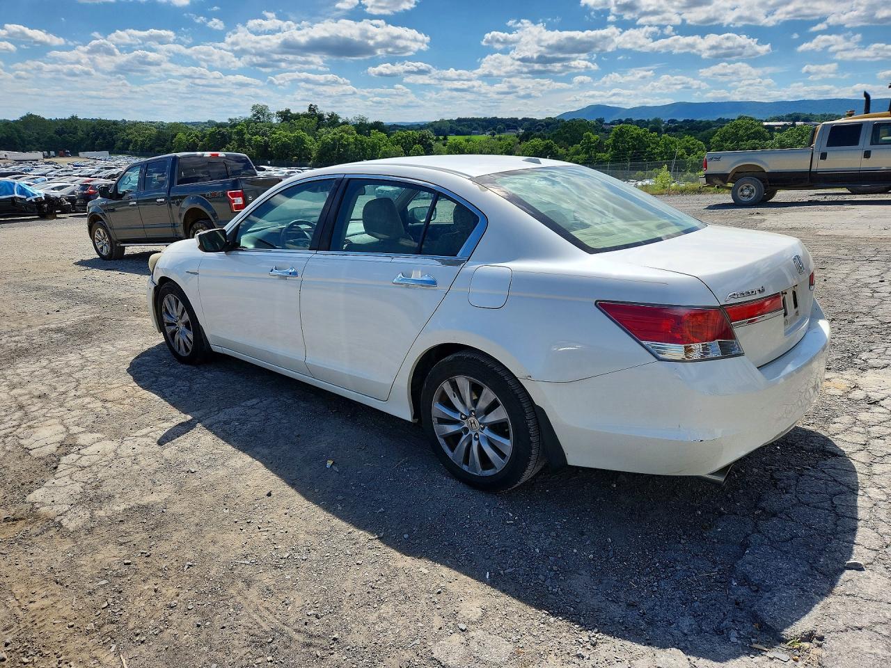 2011 Honda Accord Exl White vin: 5KBCP3F81BB003437