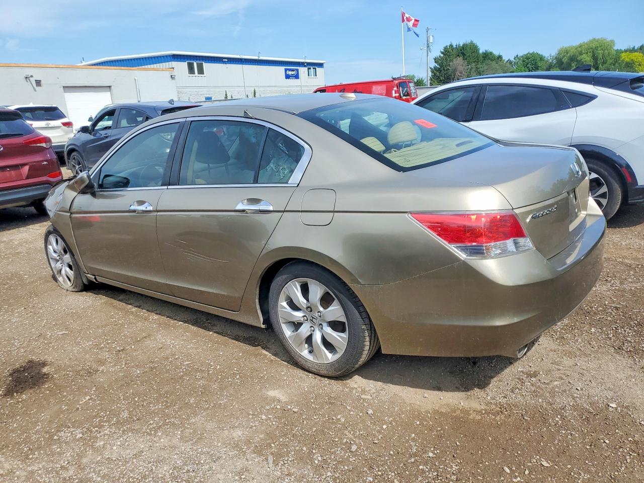 2010 Honda Accord Exl Beige vin: 5KBCP3F82AB501127