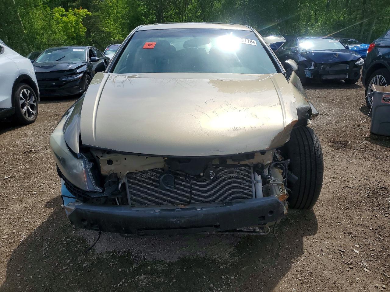 2010 Honda Accord Exl Beige vin: 5KBCP3F82AB501127