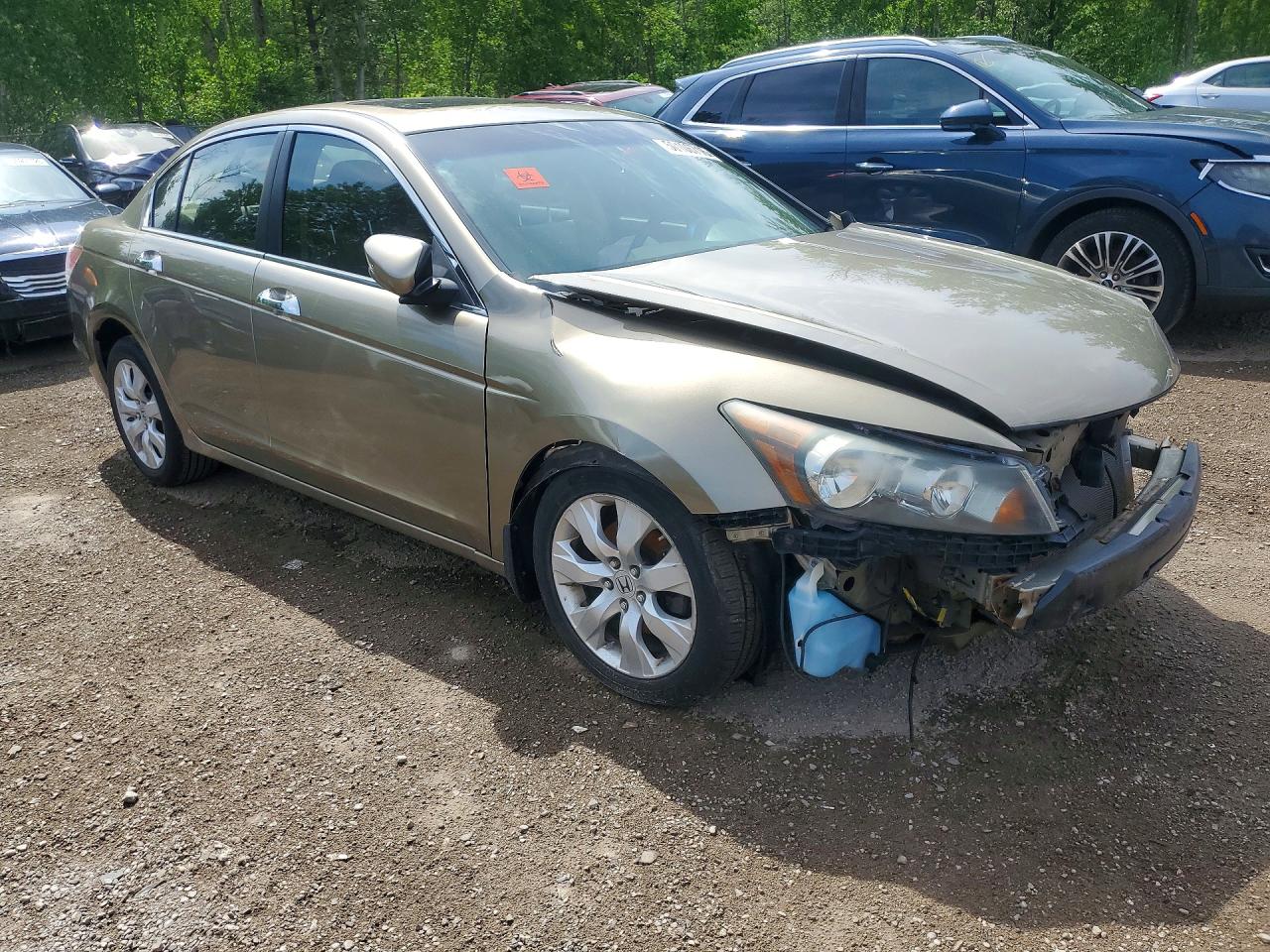 2010 Honda Accord Exl Beige vin: 5KBCP3F82AB501127