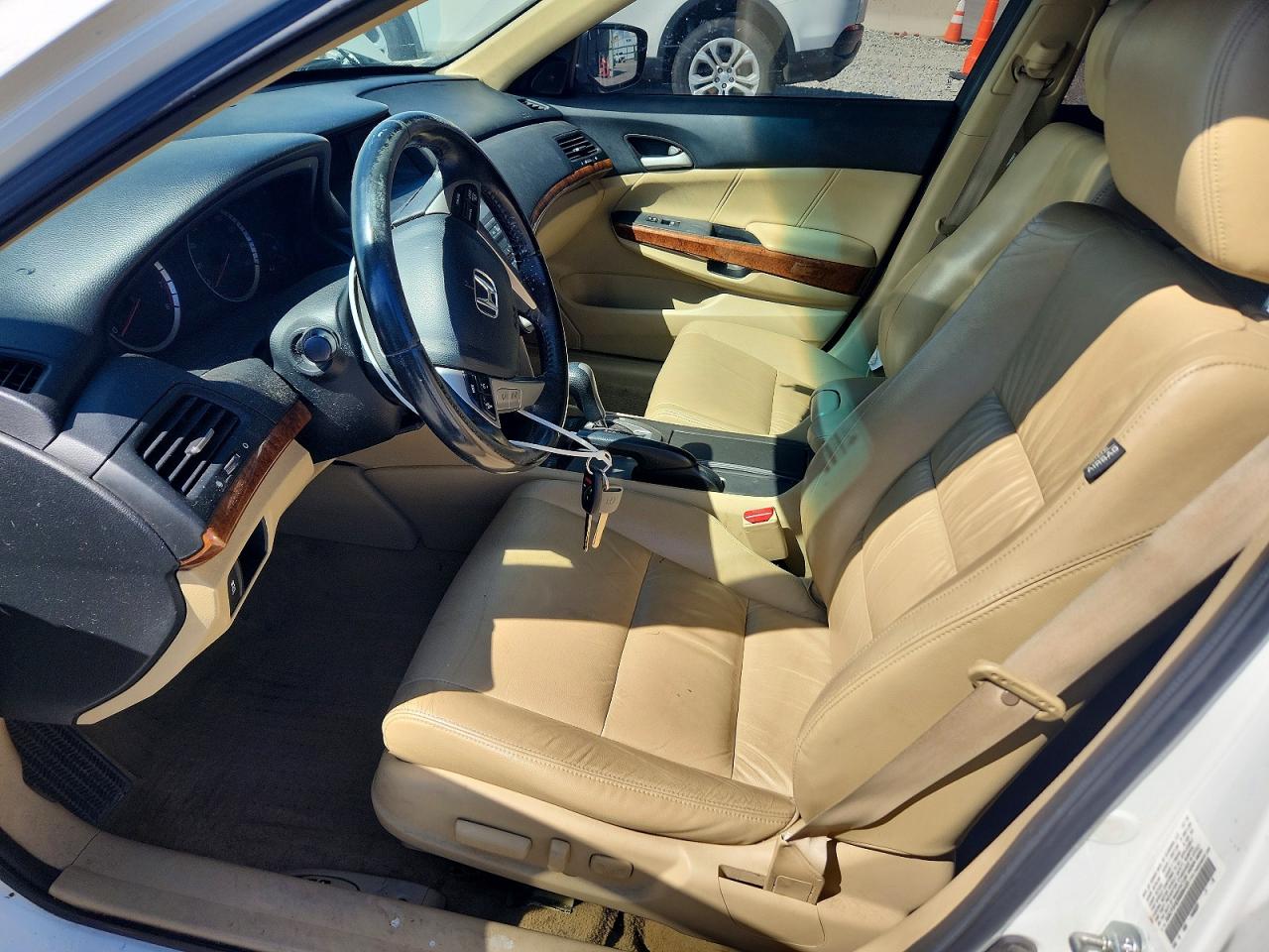 2011 Honda Accord Exl White vin: 5KBCP3F82BB004435