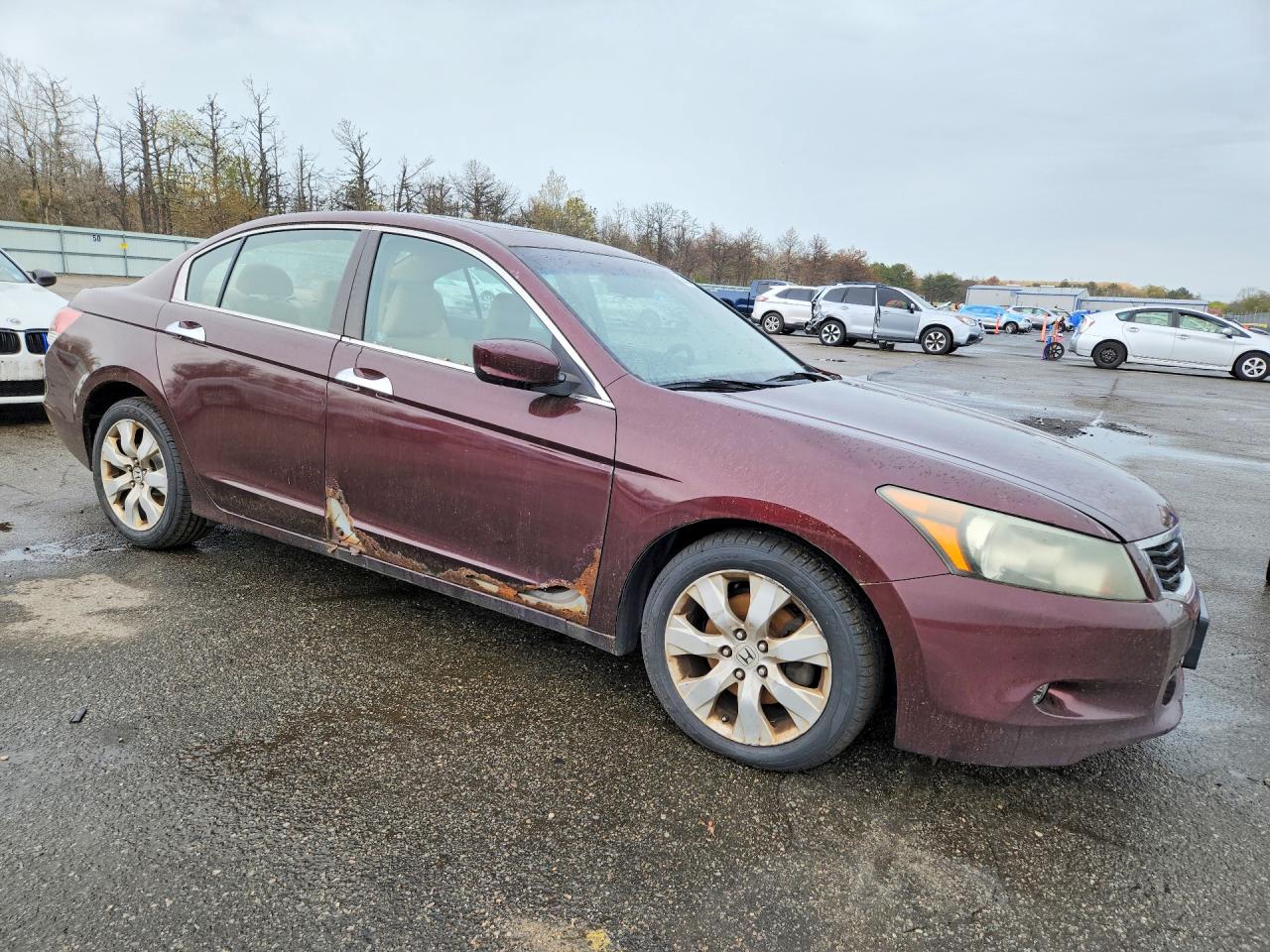 2010 Honda Accord Exl Burgundy vin: 5KBCP3F83AB016091
