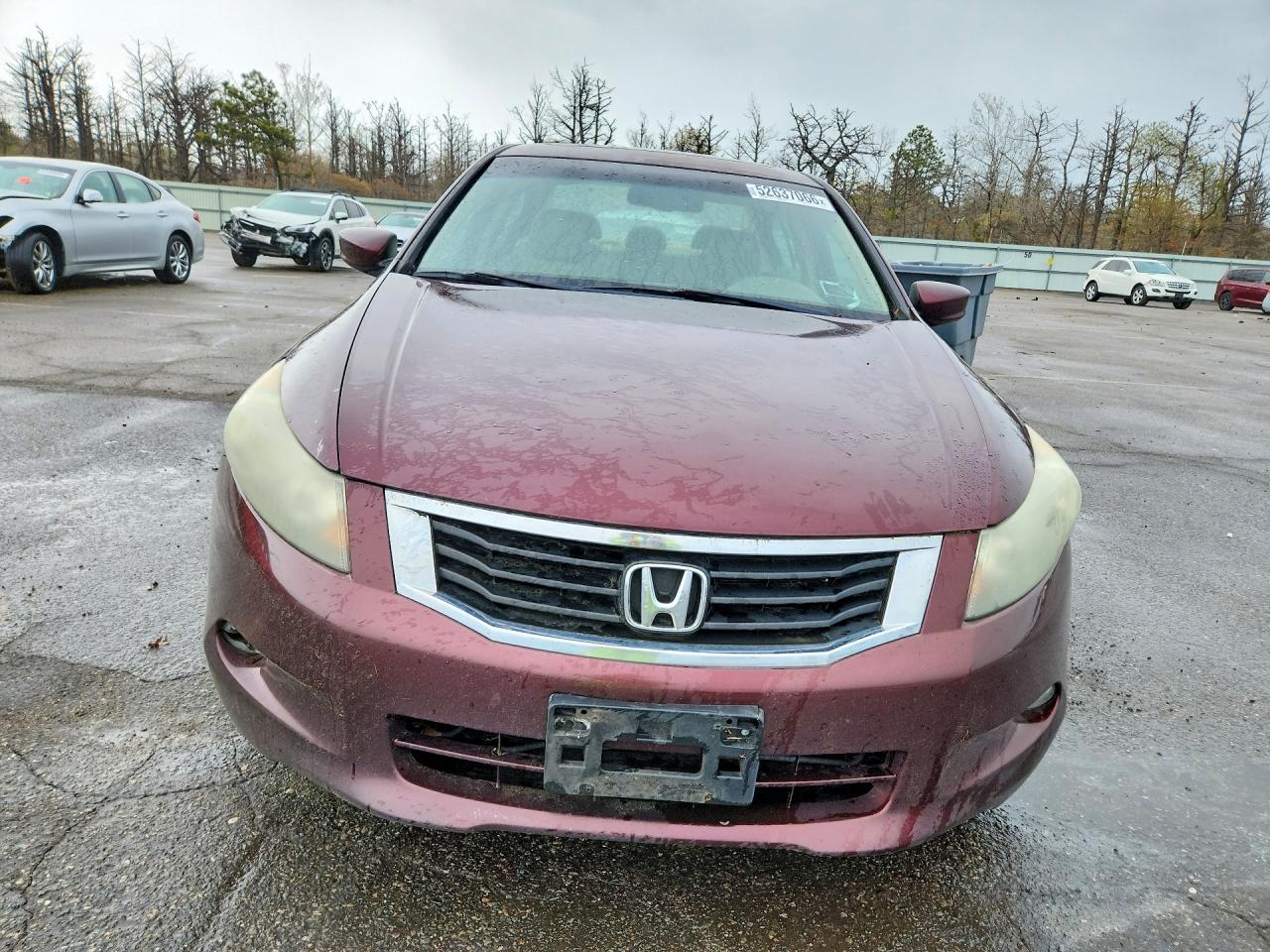 2010 Honda Accord Exl Burgundy vin: 5KBCP3F83AB016091