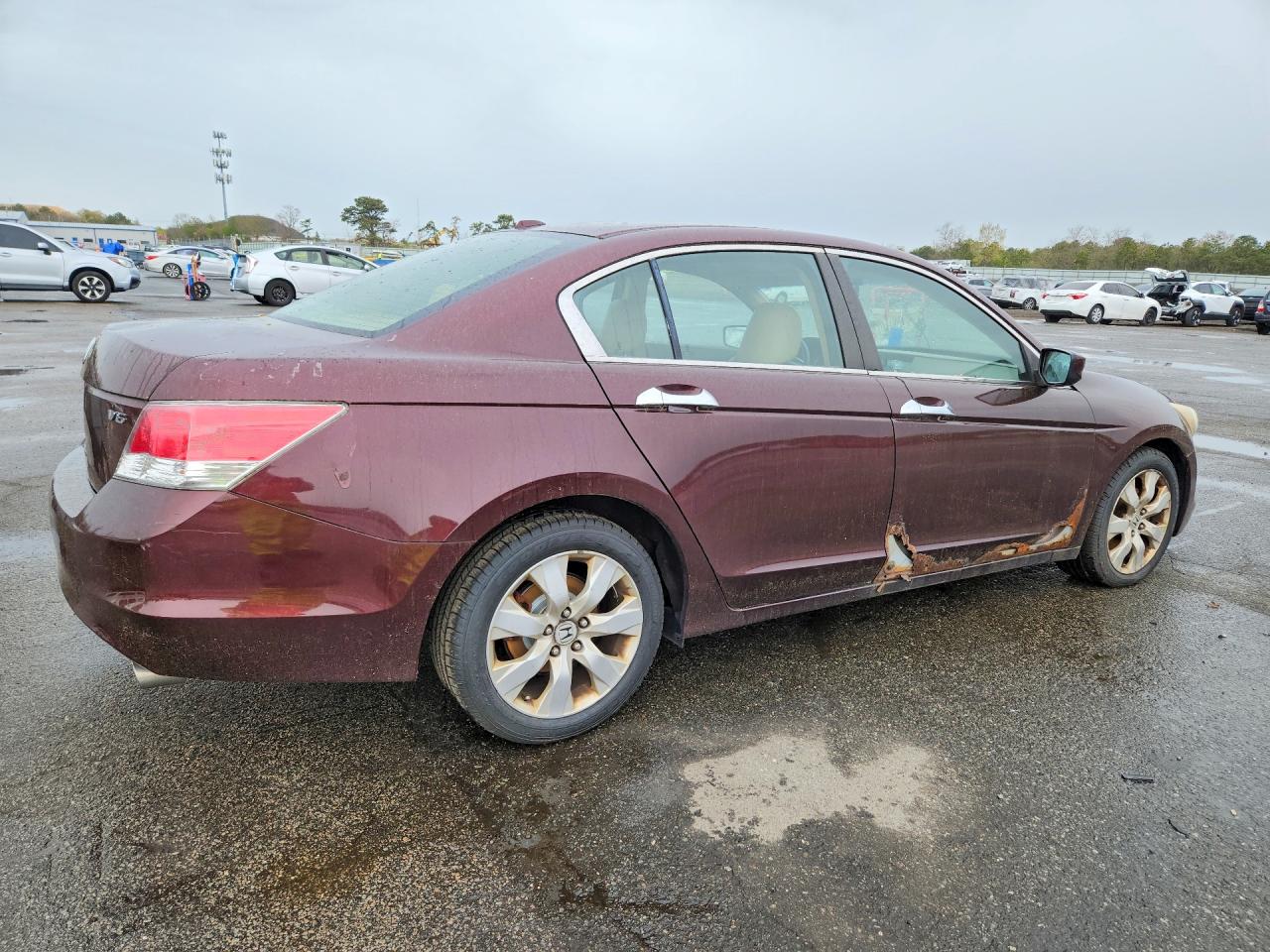 2010 Honda Accord Exl Burgundy vin: 5KBCP3F83AB016091