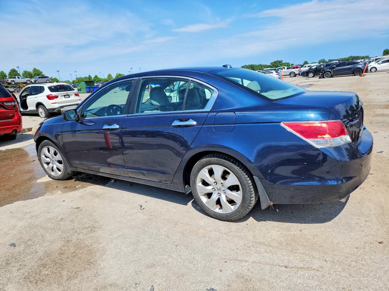 2010 Honda Accord Exl Blue vin: 5KBCP3F84AB012213