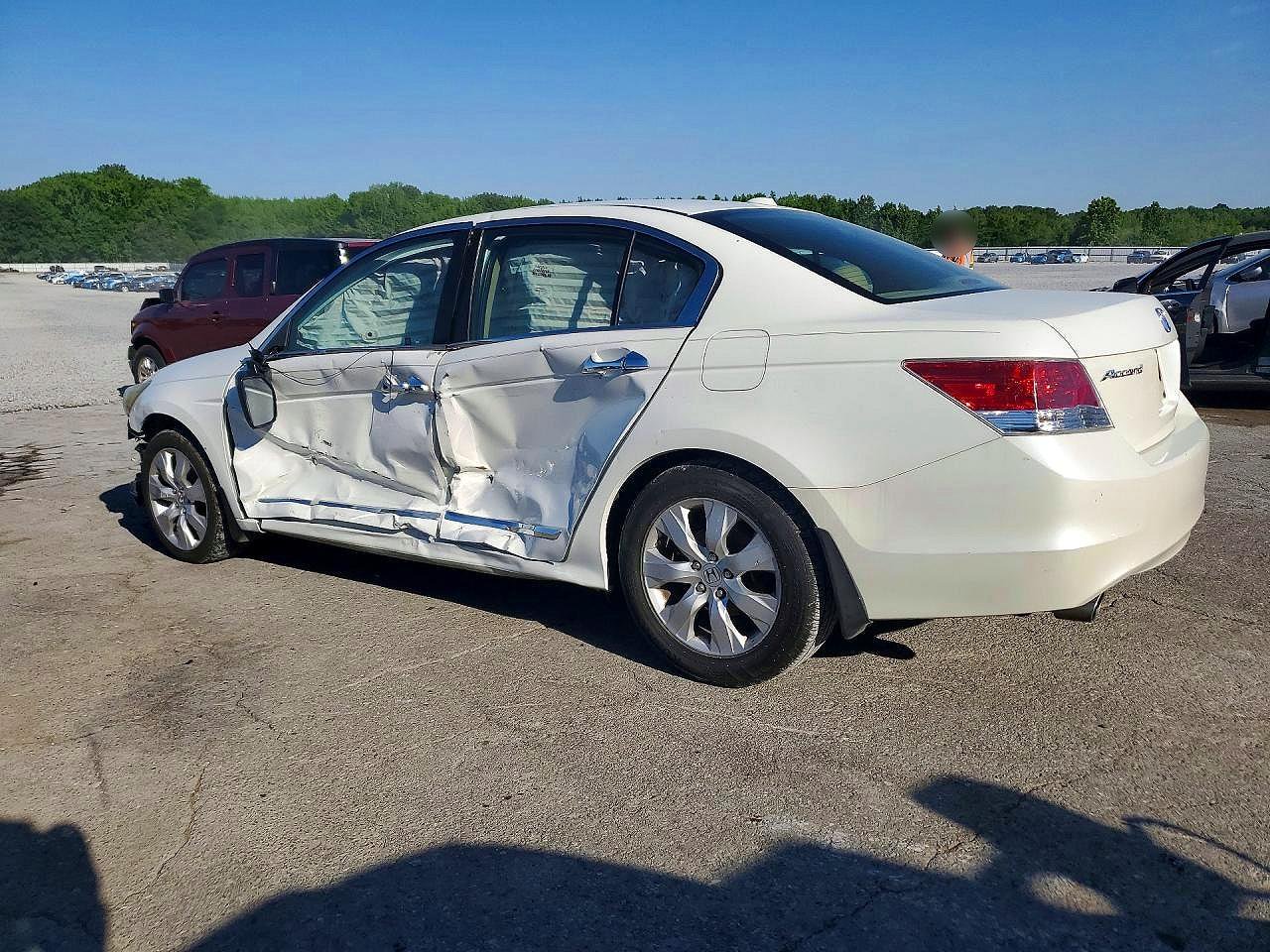2010 Honda Accord Exl White vin: 5KBCP3F84AB013491