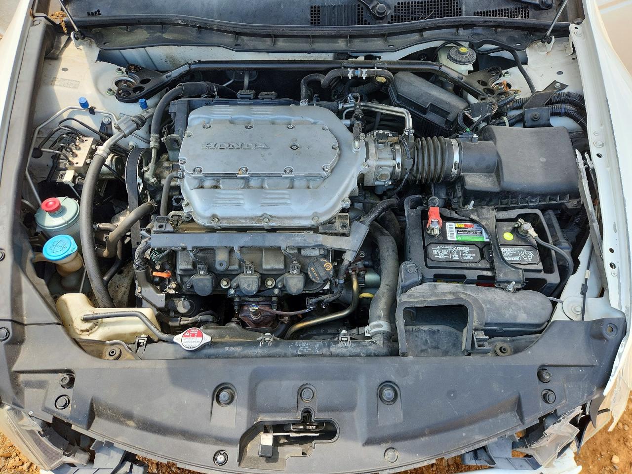 2011 Honda Accord Exl White vin: 5KBCP3F84BB003416