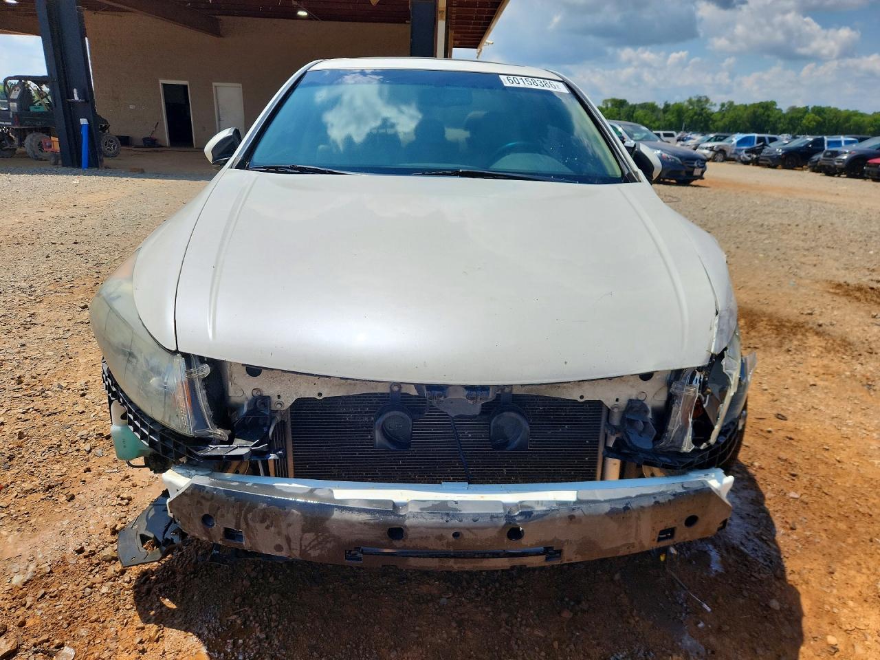 2011 Honda Accord Exl White vin: 5KBCP3F84BB003416