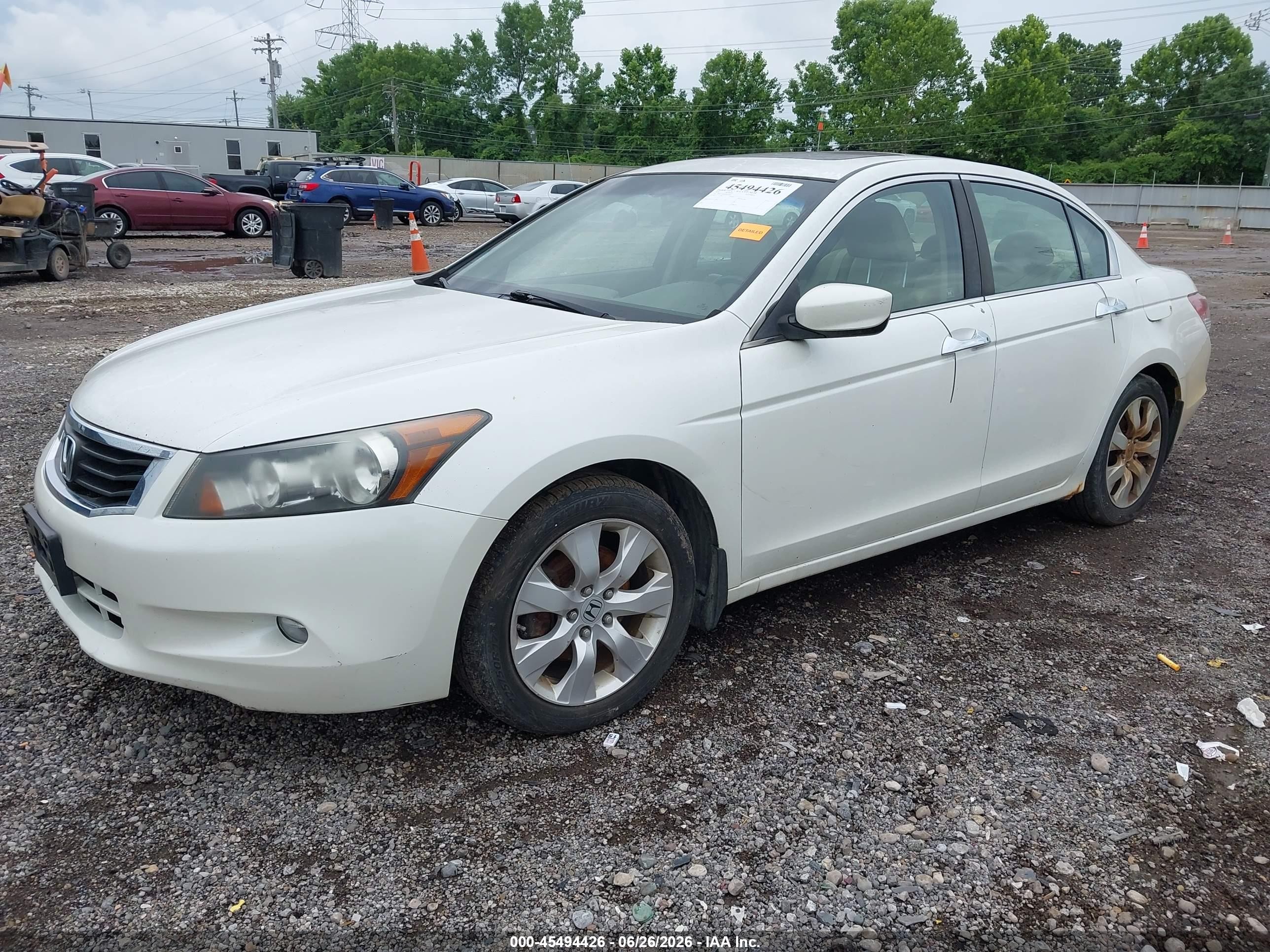 2010 Honda Accord 3.5 Ex-l White vin: 5KBCP3F85AB001687