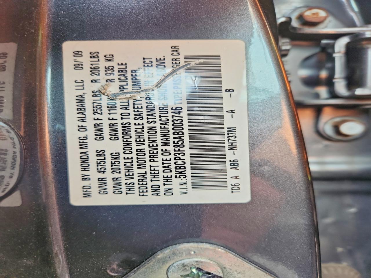 2010 Honda Accord Exl Gray vin: 5KBCP3F85AB003746