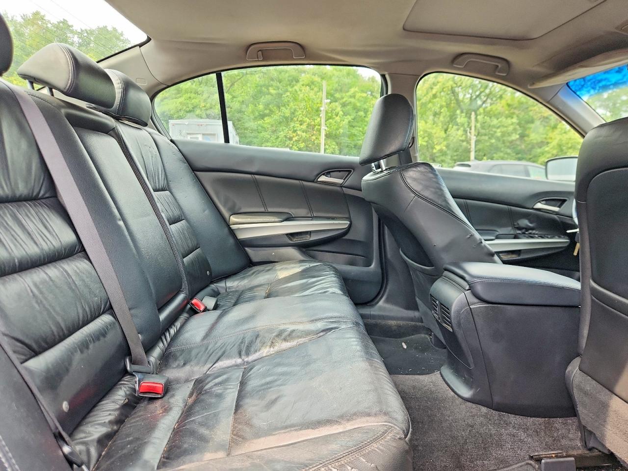2010 Honda Accord Exl Gray vin: 5KBCP3F85AB003746