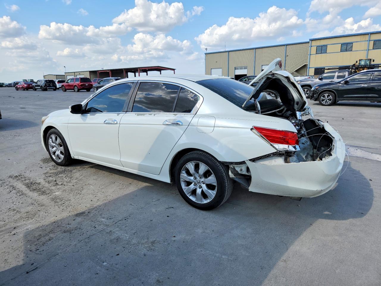 2010 Honda Accord Exl Белый vin: 5KBCP3F85AB011071