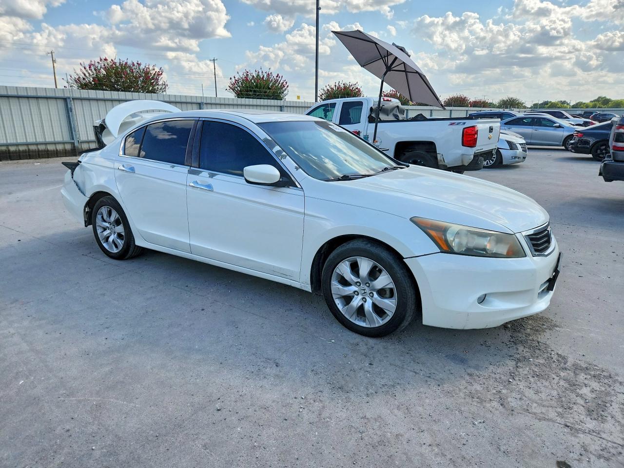 2010 Honda Accord Exl Белый vin: 5KBCP3F85AB011071