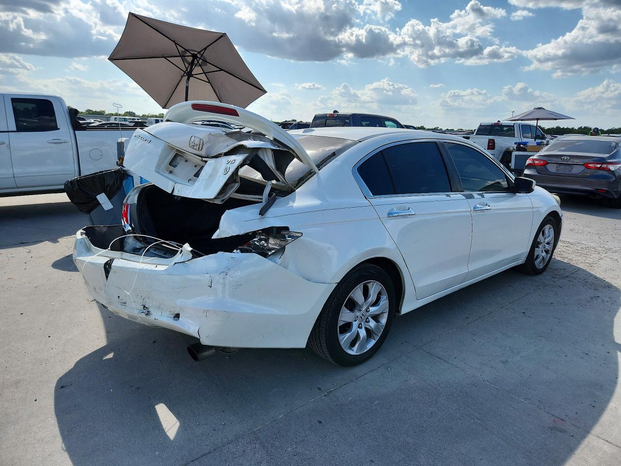 2010 Honda Accord Exl Белый vin: 5KBCP3F85AB011071