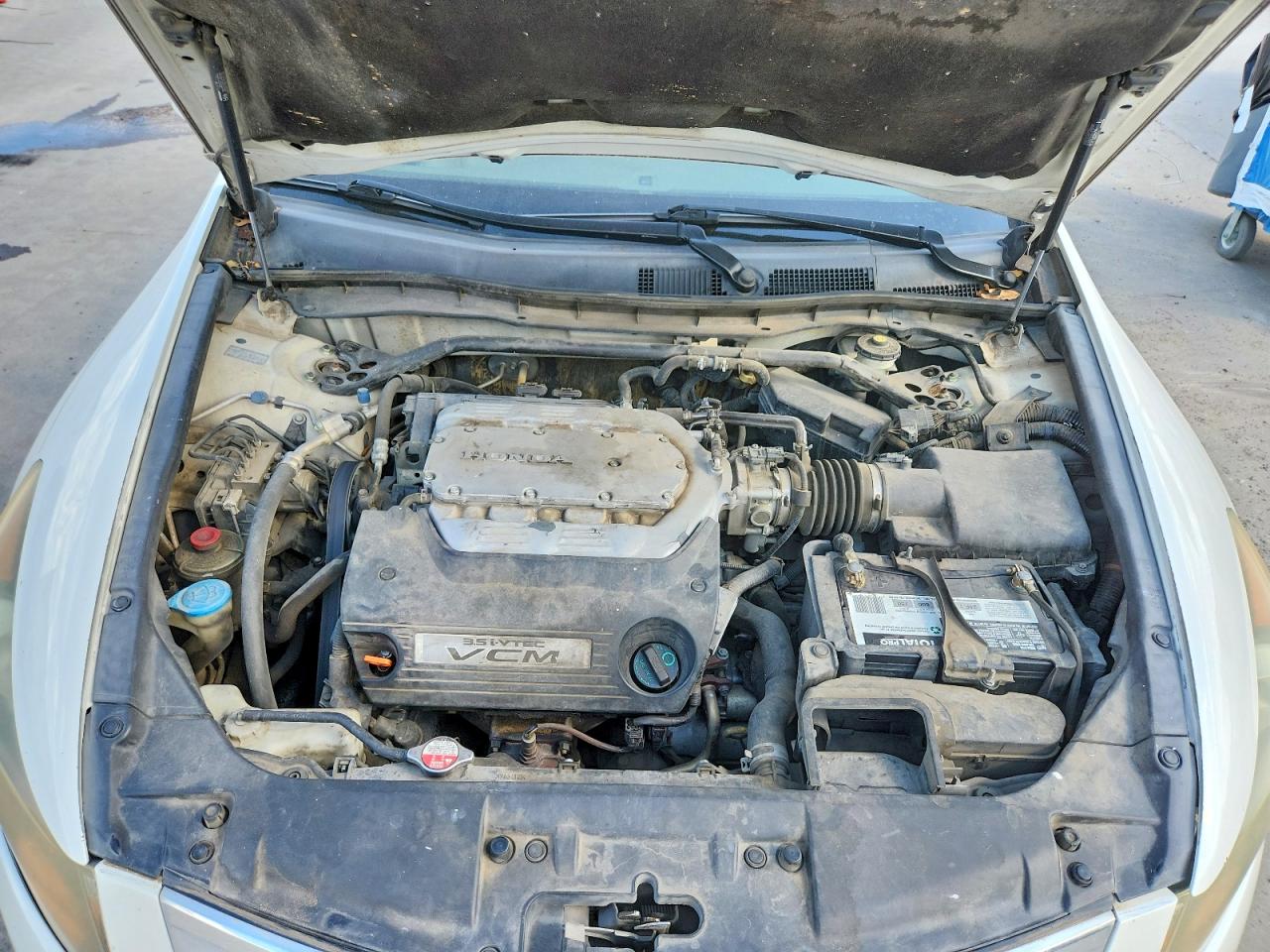 2010 Honda Accord Exl Белый vin: 5KBCP3F85AB011071