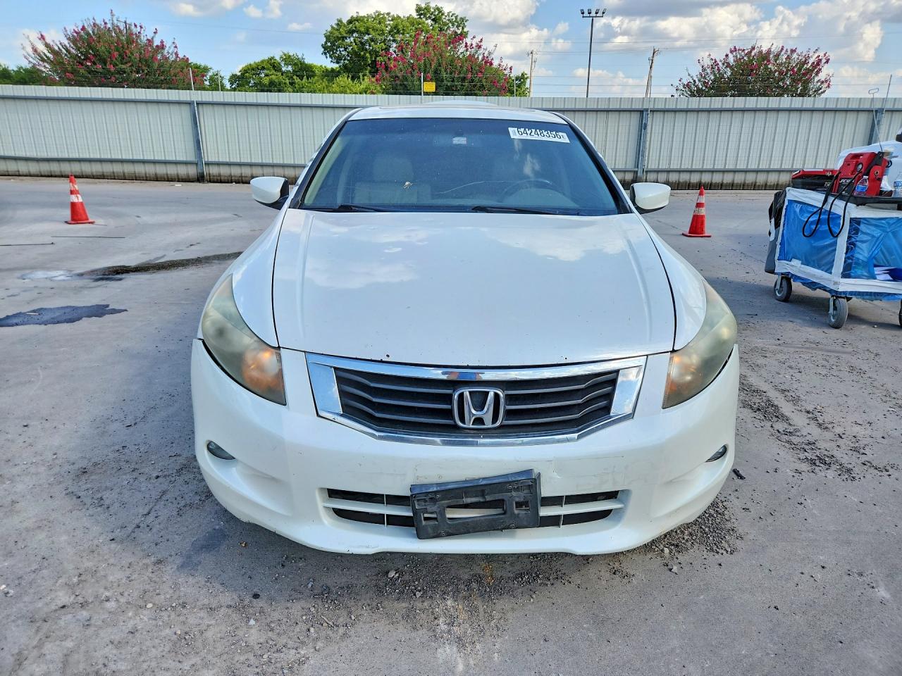 2010 Honda Accord Exl Белый vin: 5KBCP3F85AB011071