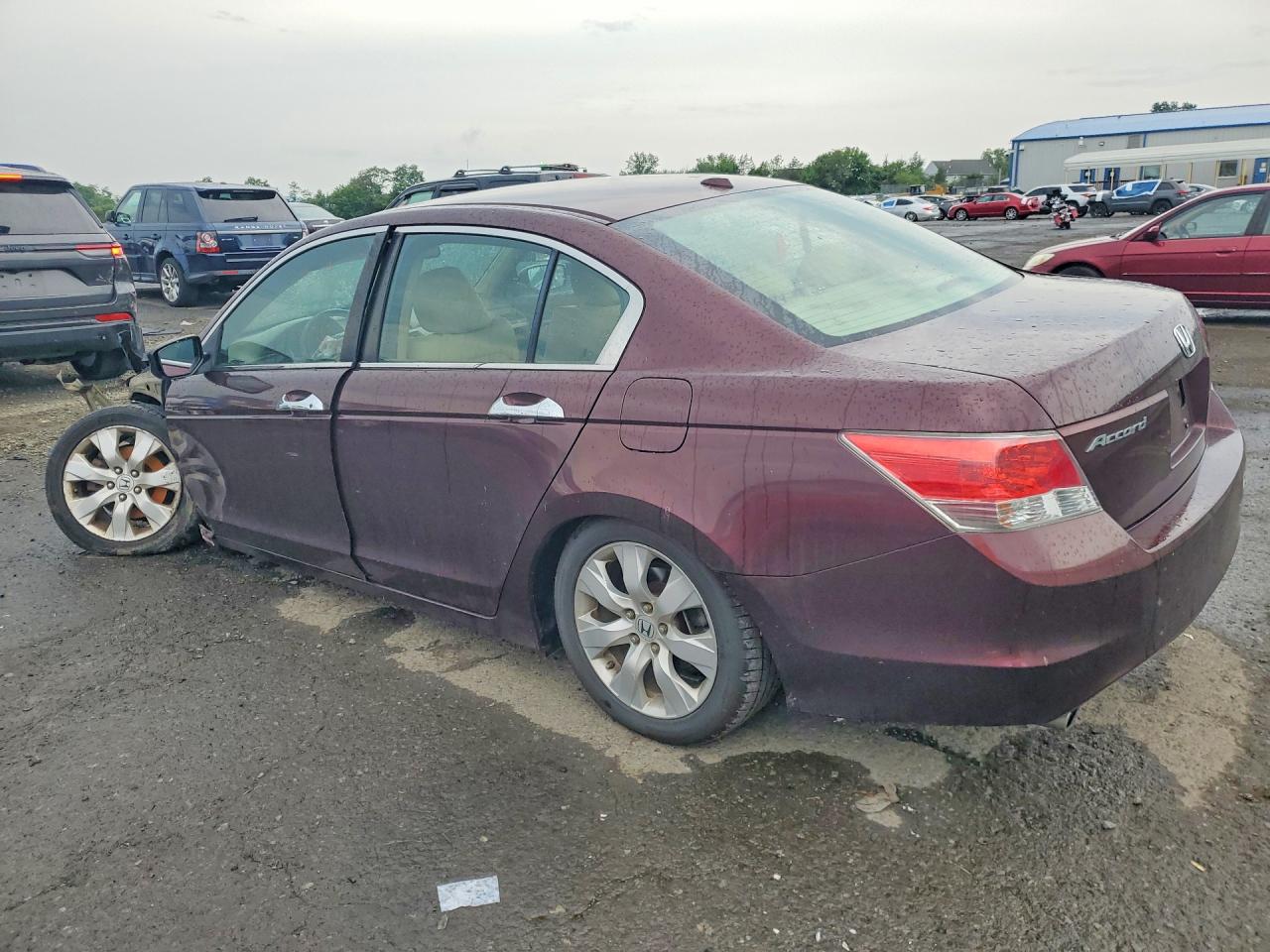 2010 Honda Accord Exl Maroon vin: 5KBCP3F86AB015324