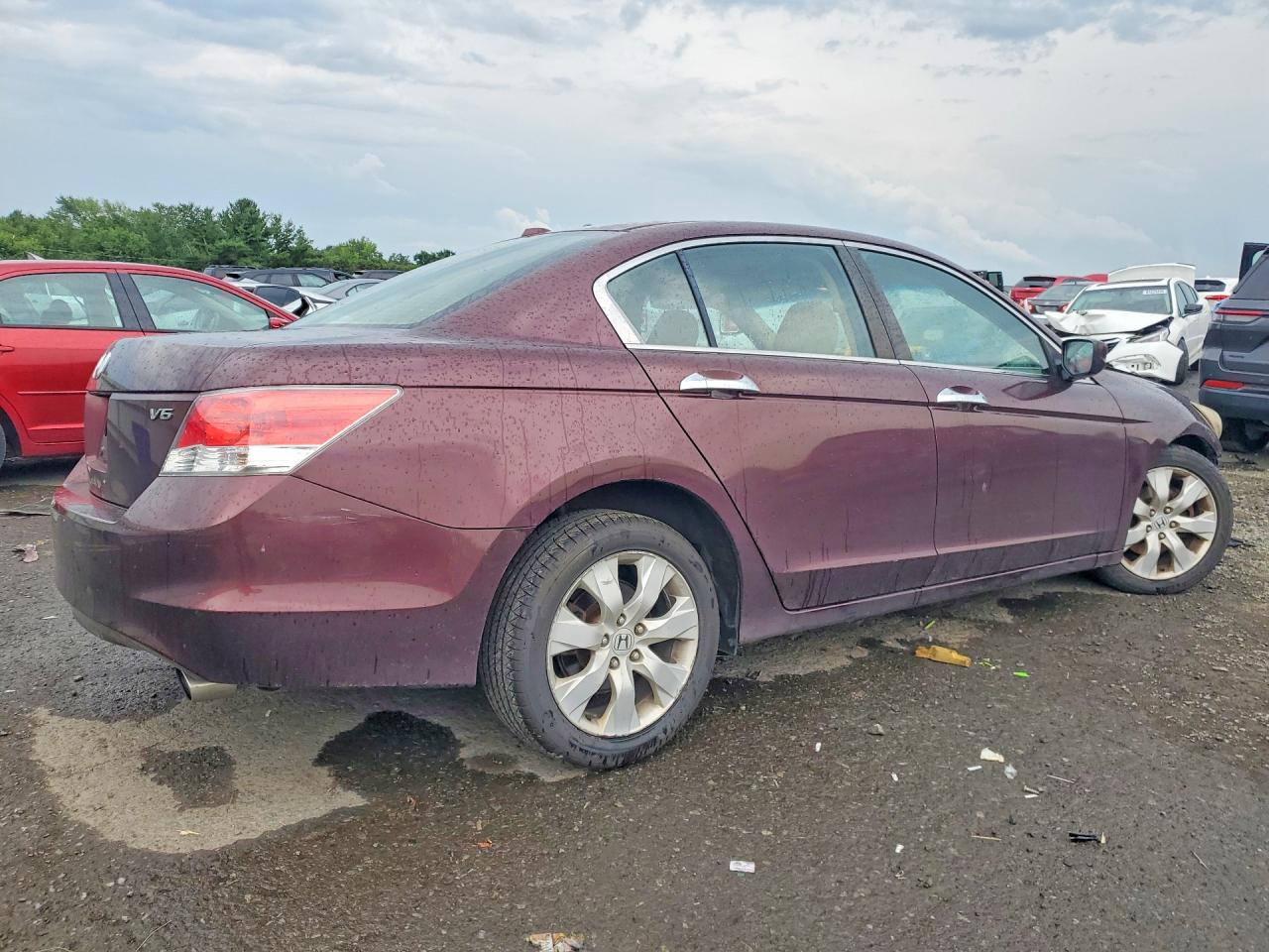 2010 Honda Accord Exl Maroon vin: 5KBCP3F86AB015324