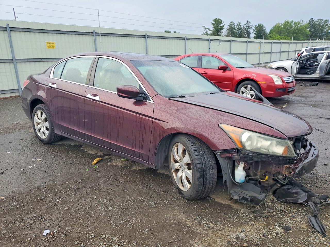 2010 Honda Accord Exl Maroon vin: 5KBCP3F86AB015324
