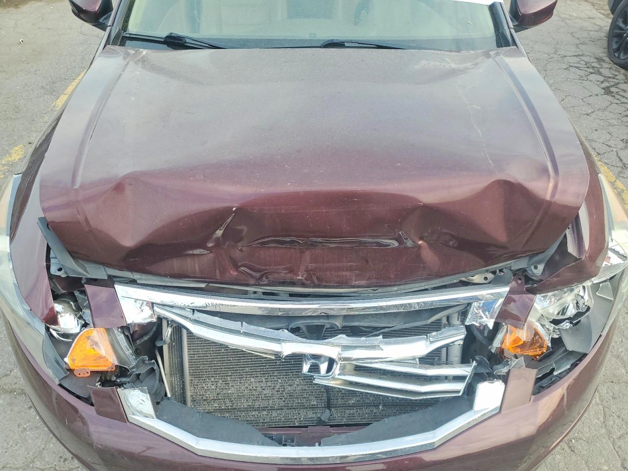 2010 Honda Accord Exl Бордовый vin: 5KBCP3F86AB017123
