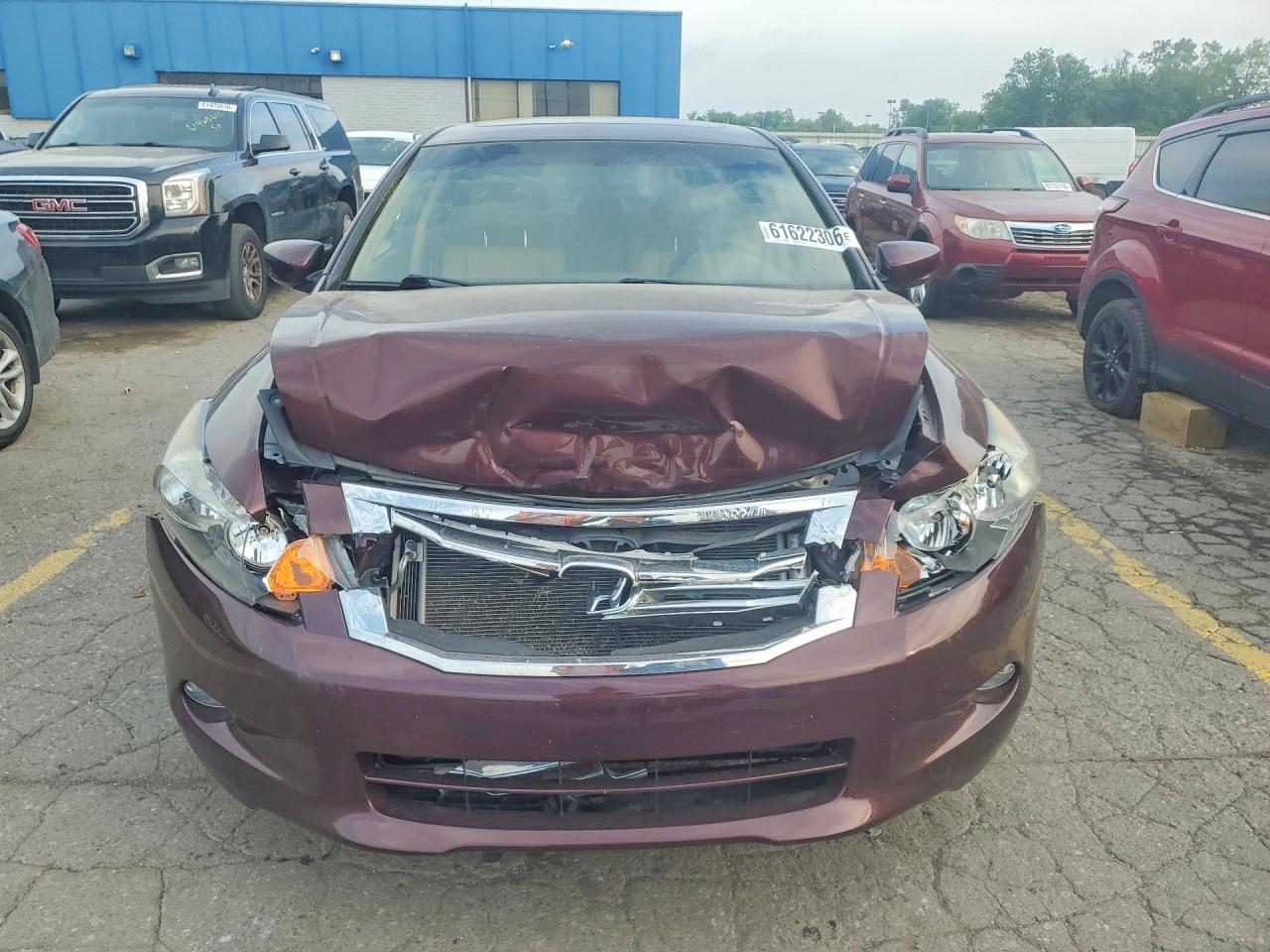 2010 Honda Accord Exl Бордовый vin: 5KBCP3F86AB017123