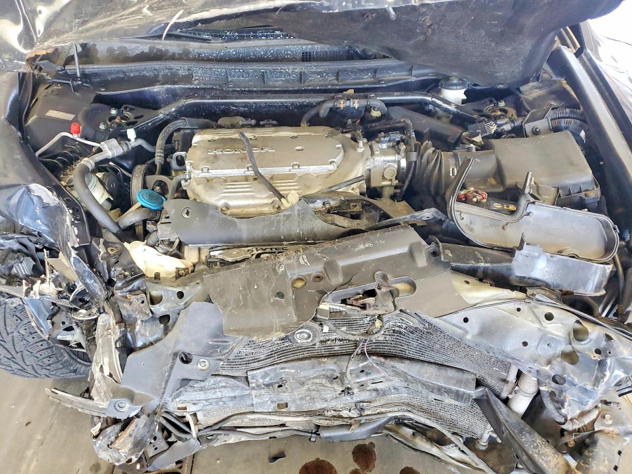 2010 Honda Accord Exl Синий vin: 5KBCP3F87AB008463