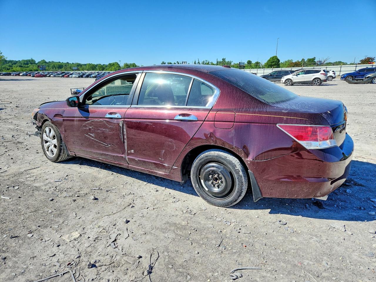 2010 Honda Accord Exl Burgundy vin: 5KBCP3F88AB004213