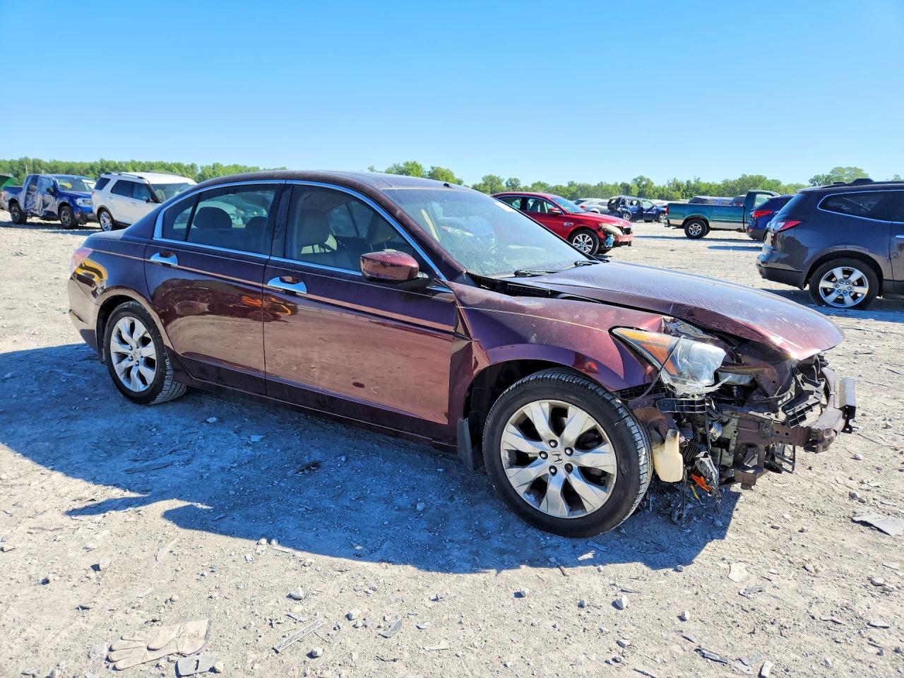 2010 Honda Accord Exl Burgundy vin: 5KBCP3F88AB004213
