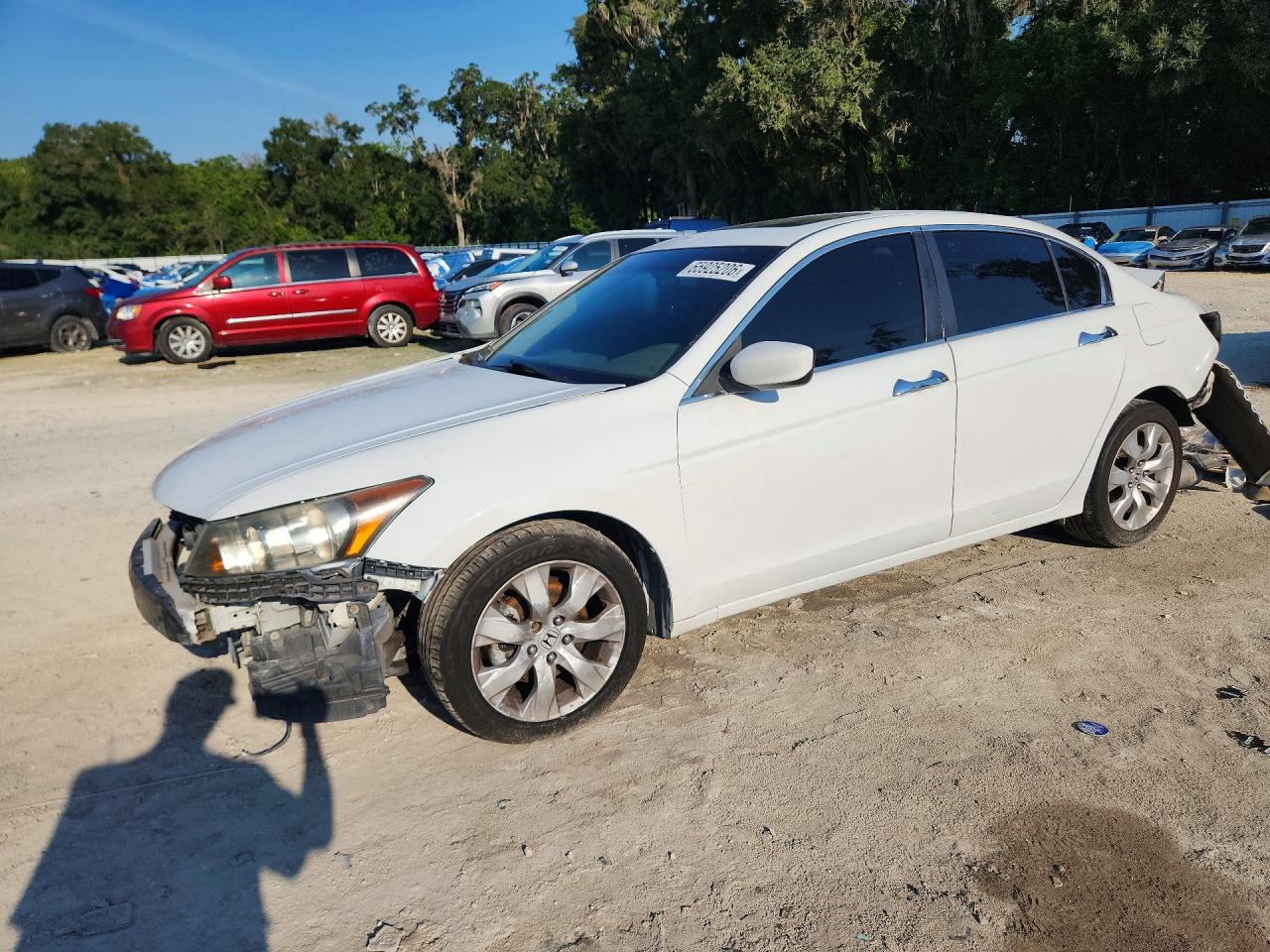 2010 Honda Accord Exl White vin: 5KBCP3F88AB006866