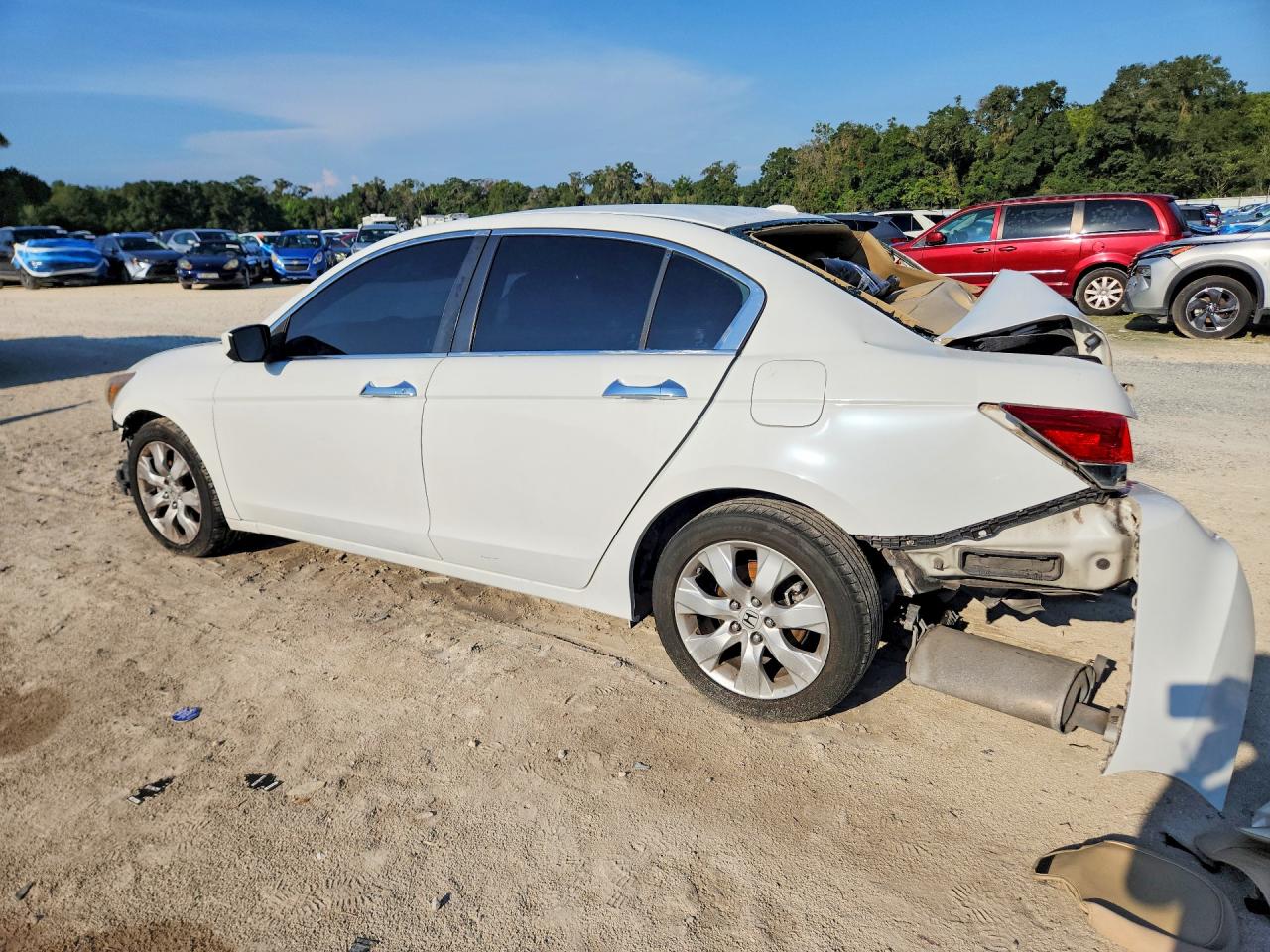 2010 Honda Accord Exl White vin: 5KBCP3F88AB006866