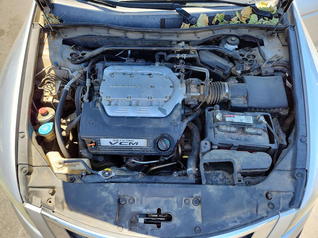 2010 Honda Accord Exl Silver vin: 5KBCP3F89AB010053
