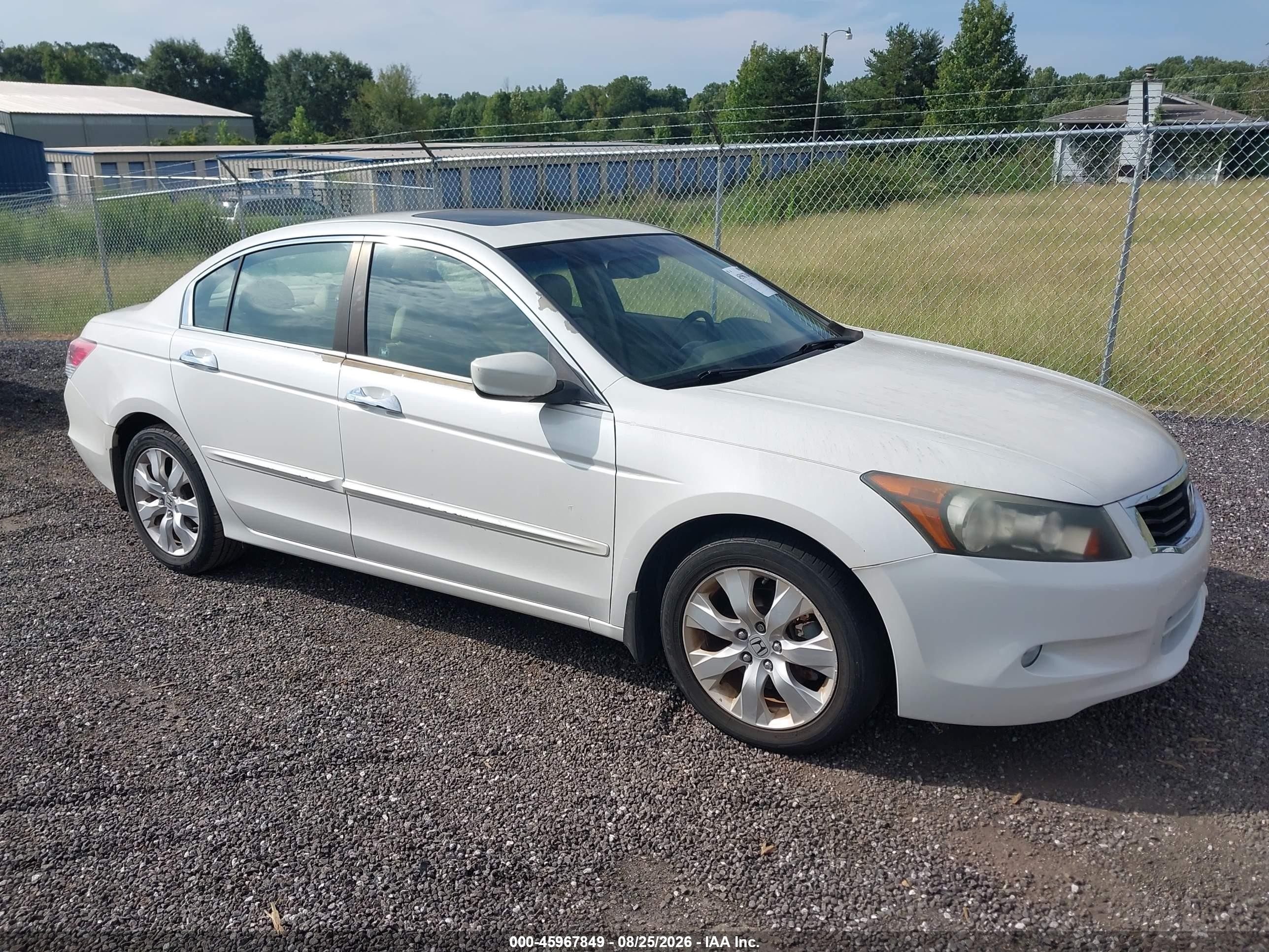 2010 Honda Accord 3.5 Ex-l White vin: 5KBCP3F8XAB004116