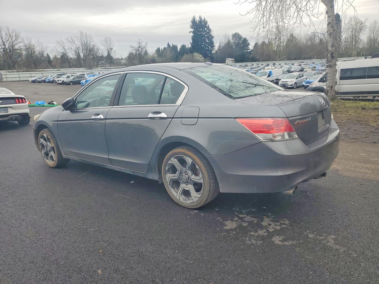 2010 Honda Accord Exl Серый vin: 5KBCP3F8XAB004987
