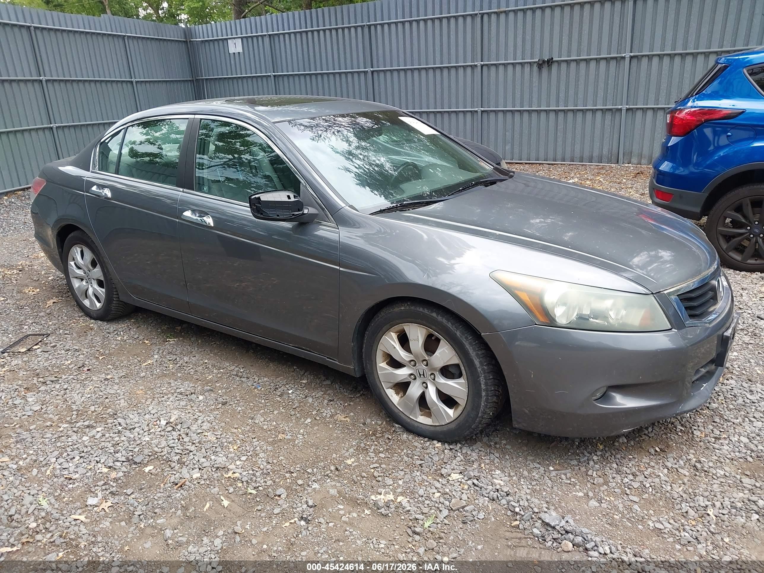 2010 Honda Accord 3.5 Ex-l Gray vin: 5KBCP3F8XAB006383
