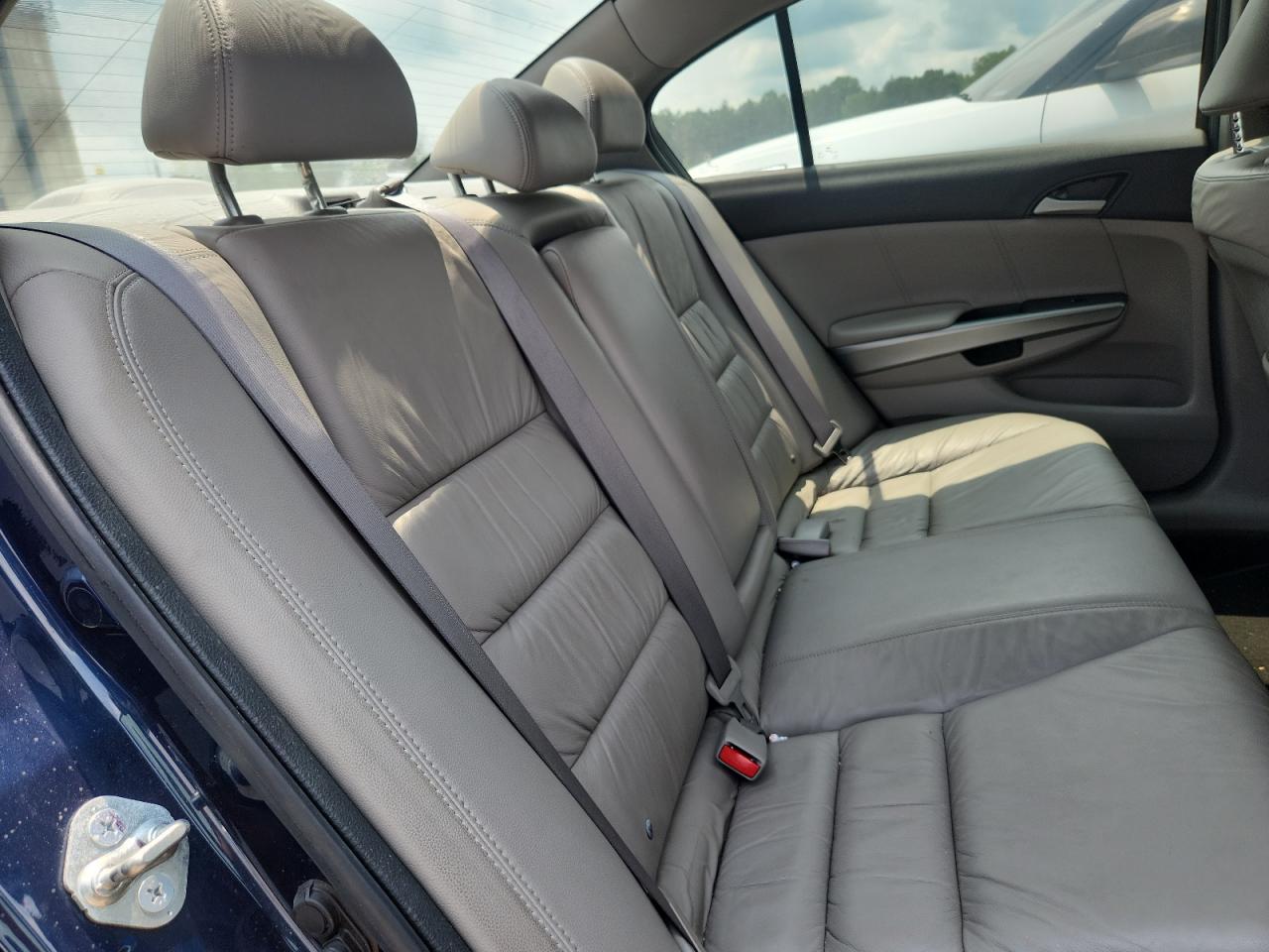 2010 Honda Accord Exl Blue vin: 5KBCP3F8XAB008795
