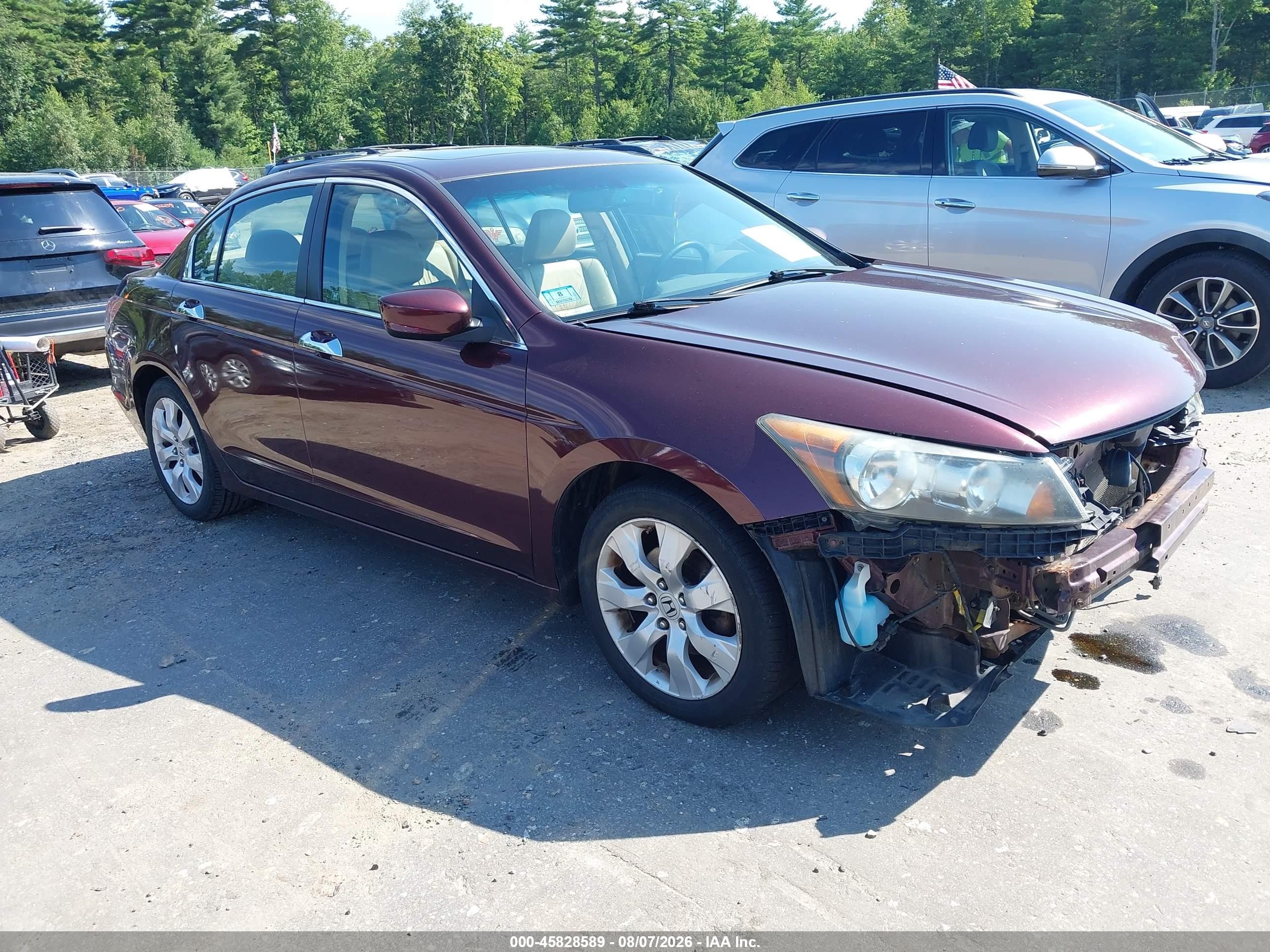 2010 Honda Accord 3.5 Ex-l Maroon vin: 5KBCP3F8XAB016282
