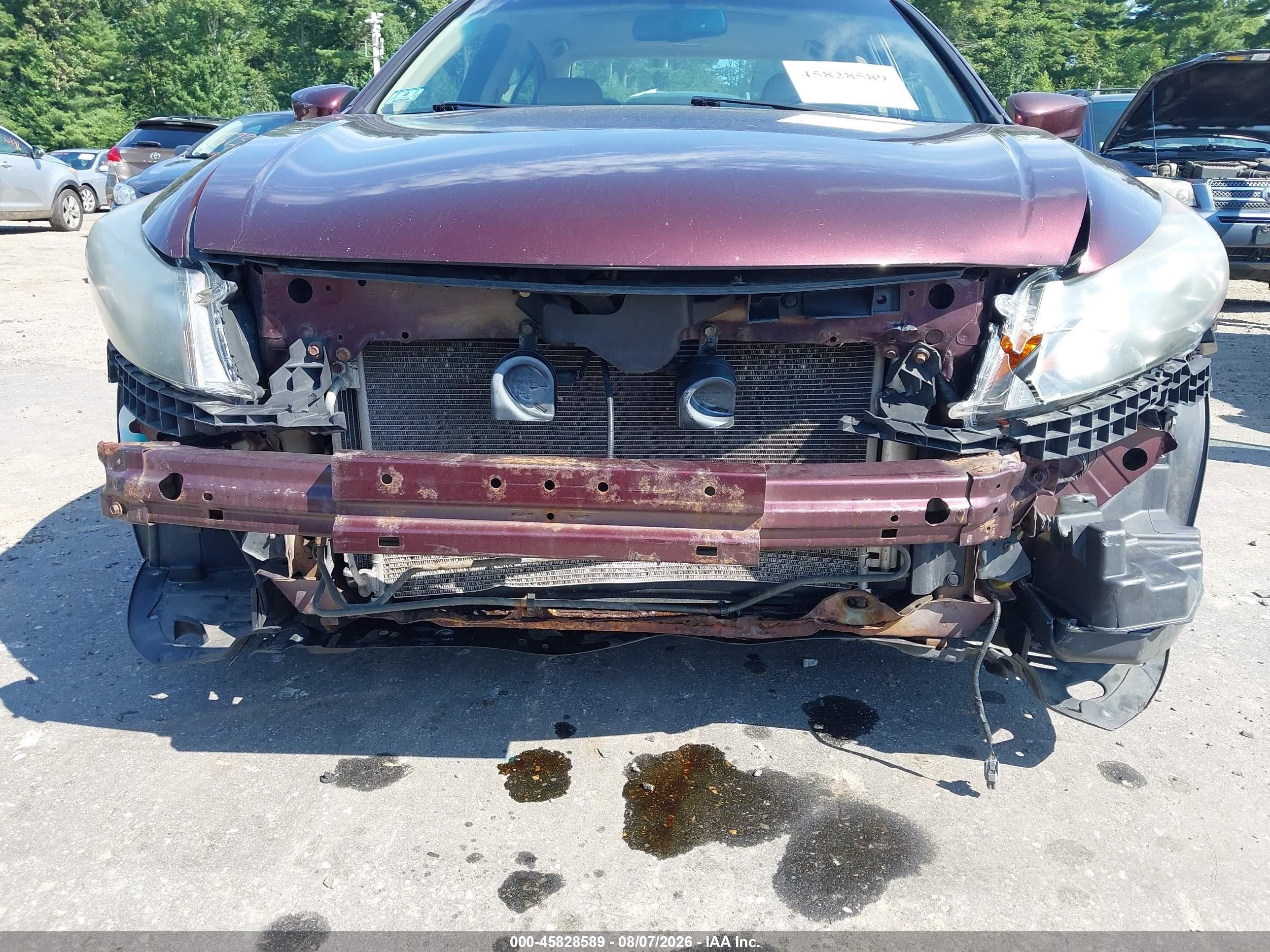 2010 Honda Accord 3.5 Ex-l Maroon vin: 5KBCP3F8XAB016282