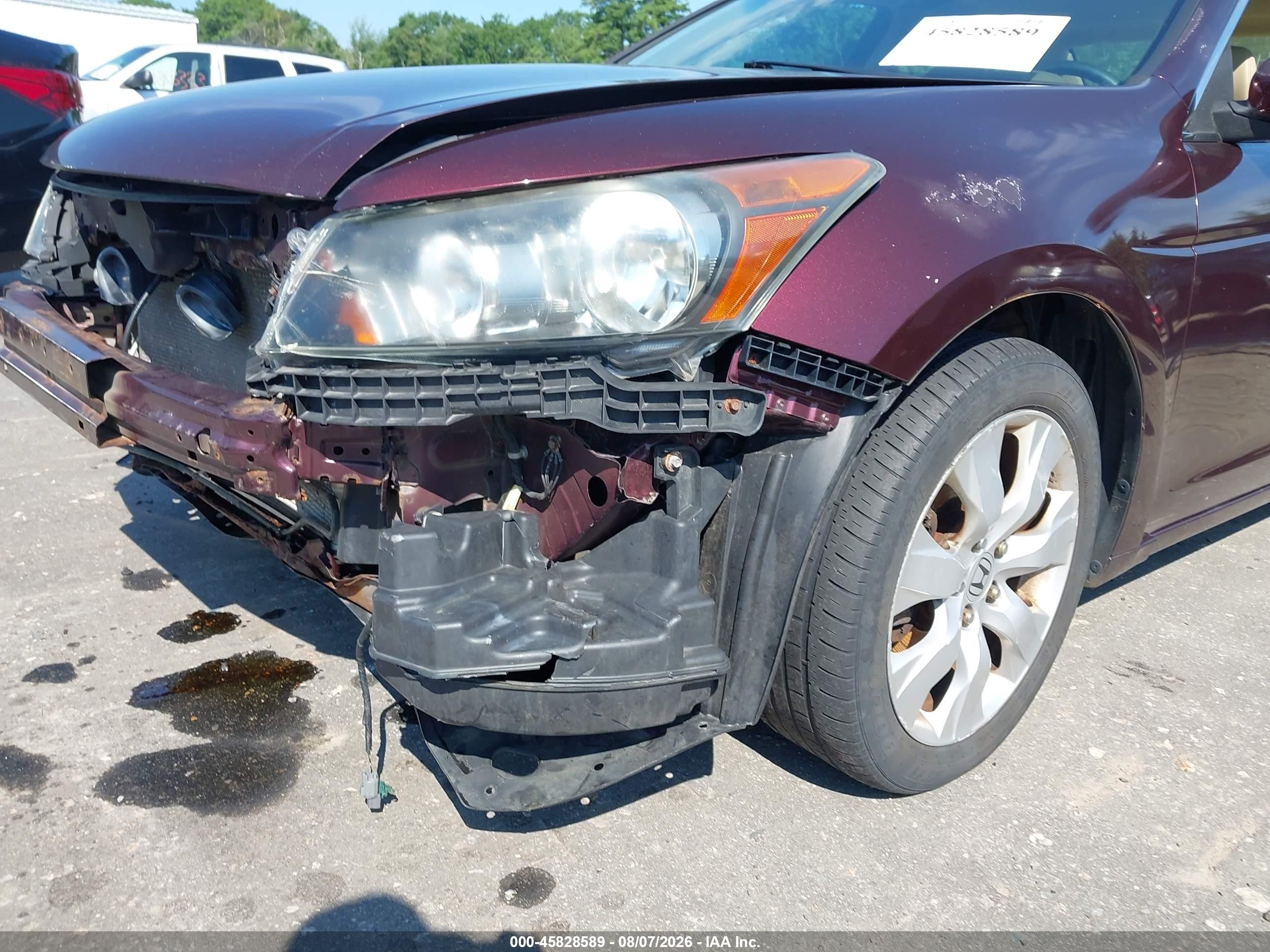 2010 Honda Accord 3.5 Ex-l Maroon vin: 5KBCP3F8XAB016282