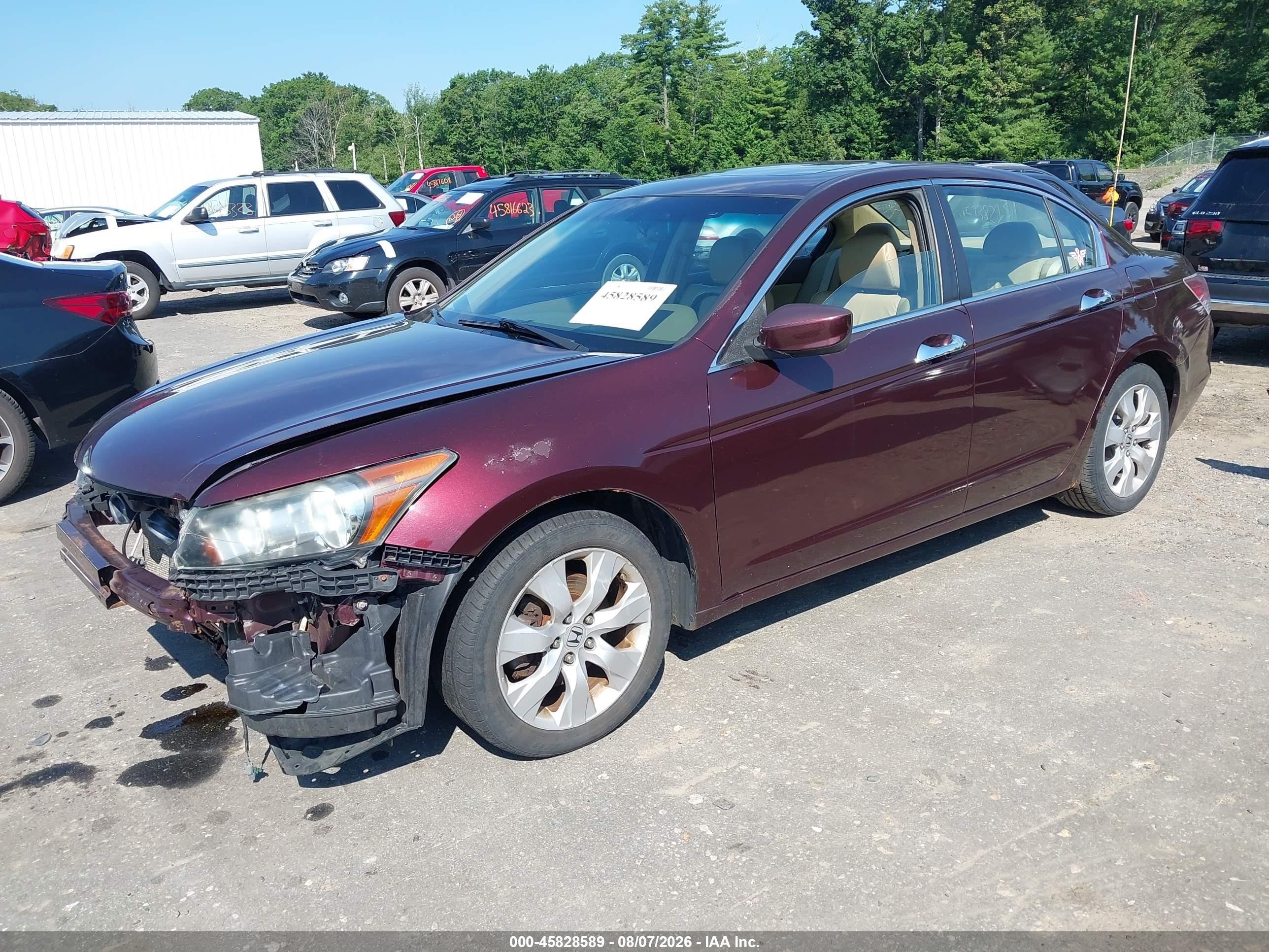 2010 Honda Accord 3.5 Ex-l Maroon vin: 5KBCP3F8XAB016282