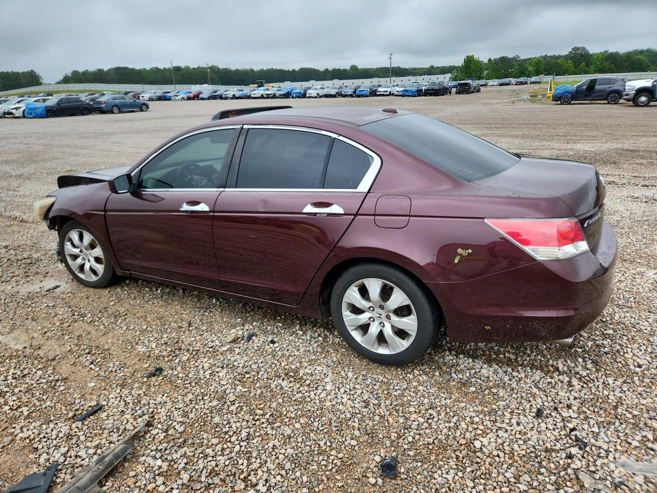 2010 Honda Accord Exl Burgundy vin: 5KBCP3F8XAB017934