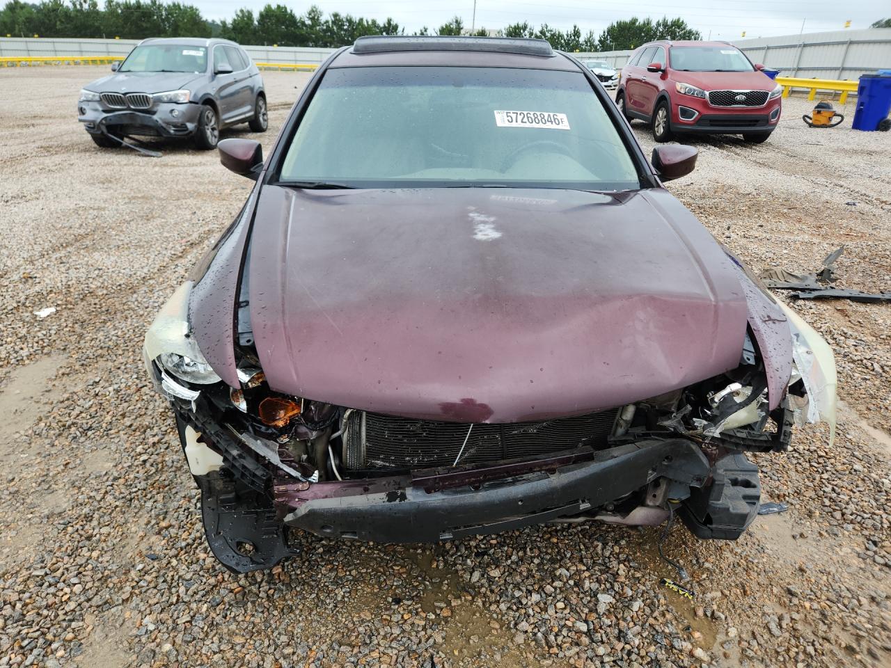 2010 Honda Accord Exl Burgundy vin: 5KBCP3F8XAB017934
