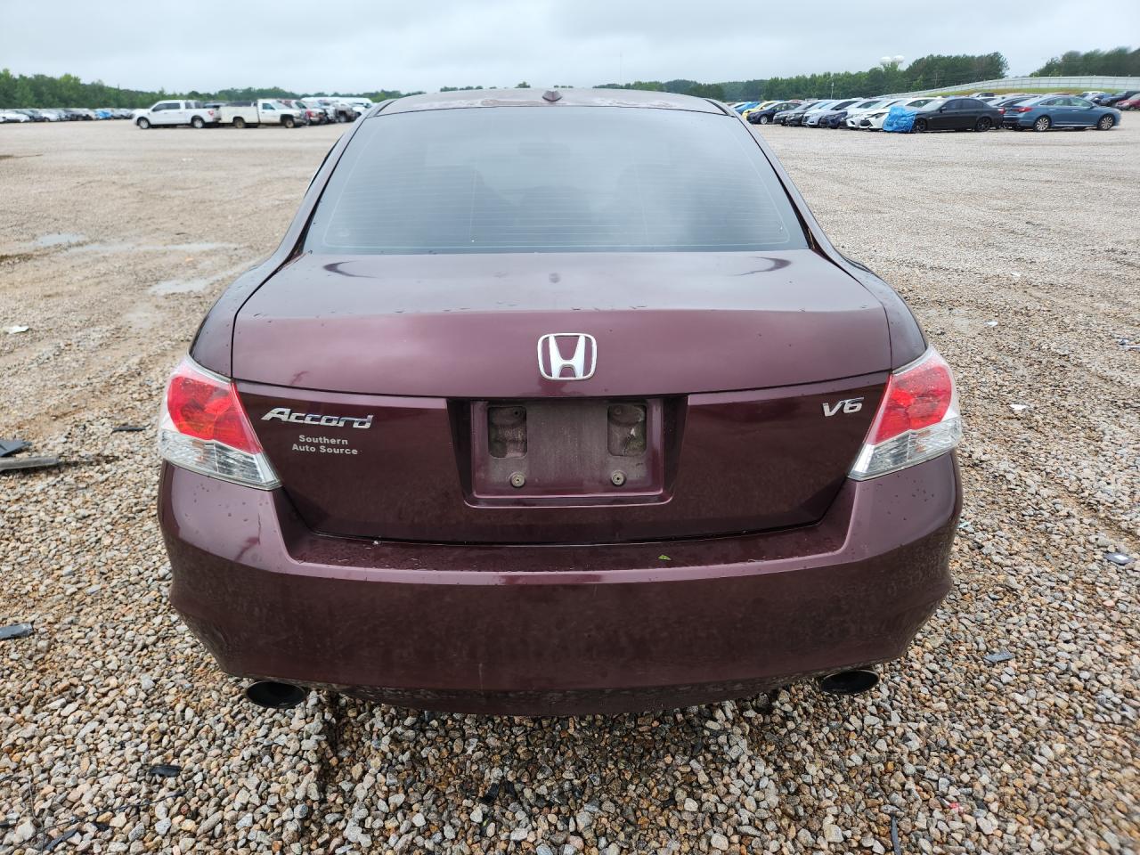 2010 Honda Accord Exl Burgundy vin: 5KBCP3F8XAB017934