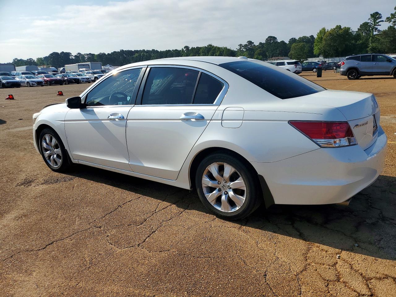 2010 Honda Accord Exl White vin: 5KBCP3F8XAB018579