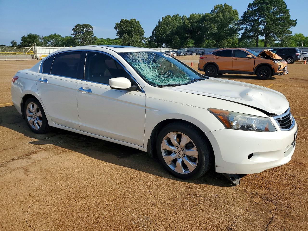 2010 Honda Accord Exl White vin: 5KBCP3F8XAB018579