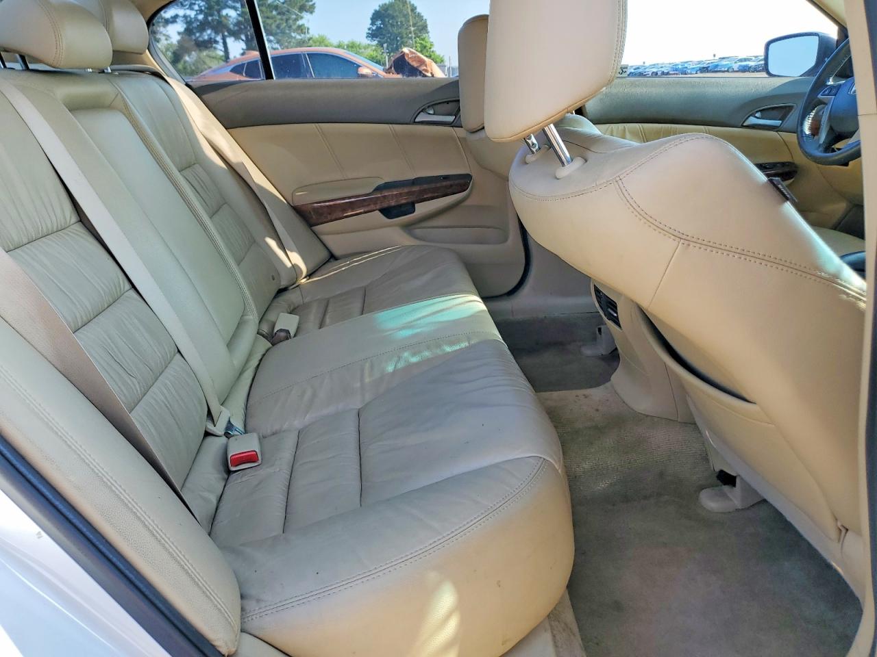 2010 Honda Accord Exl White vin: 5KBCP3F8XAB018579