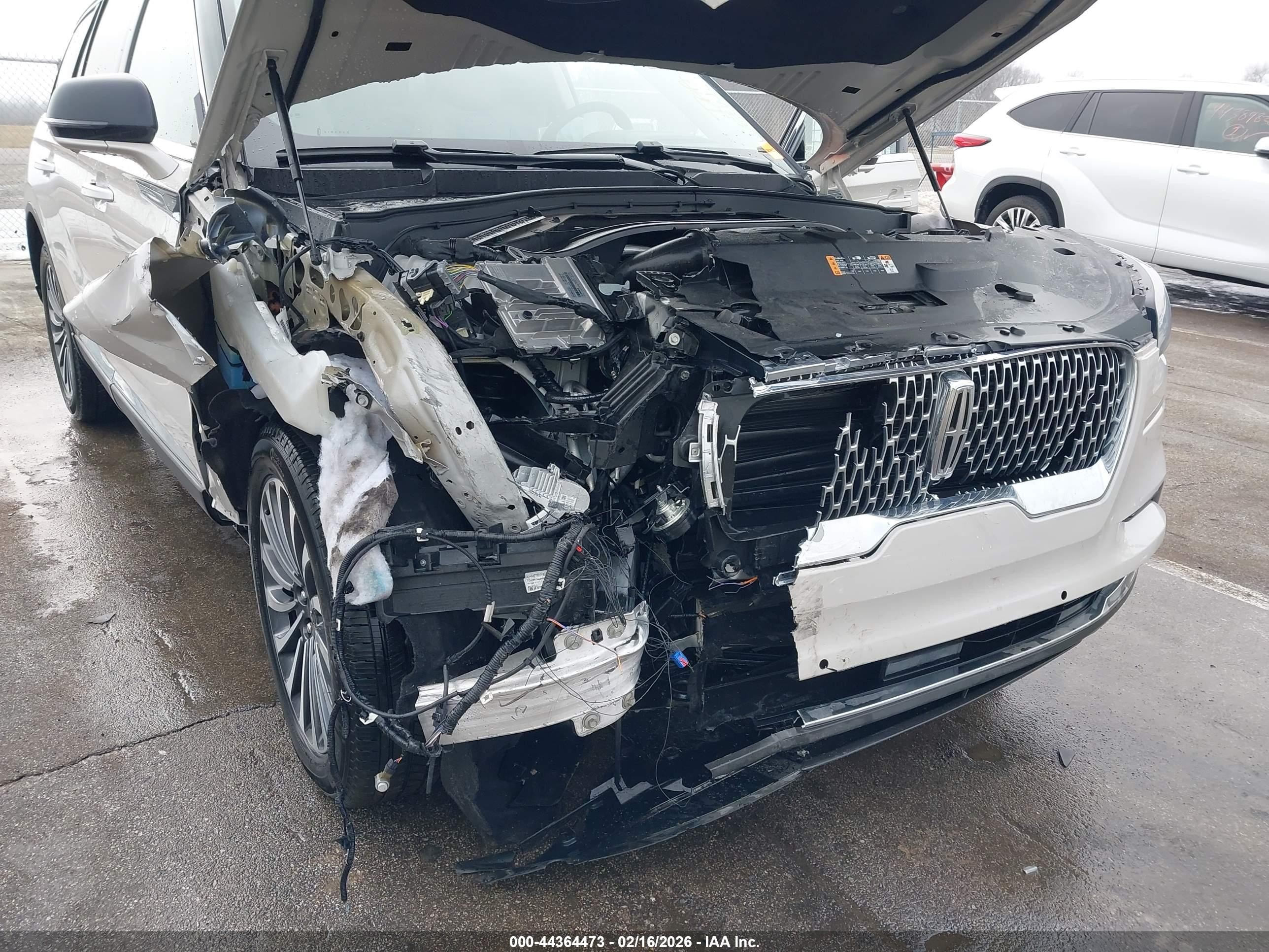 Cats, Dogs and aviatrix game download