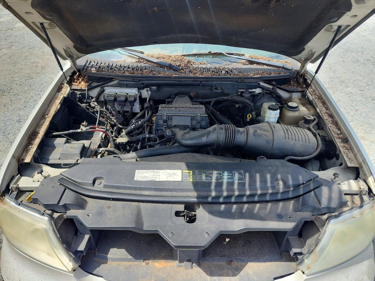 2005 Lincoln Navigator Кремовый vin: 5LMFU28515LJ14761